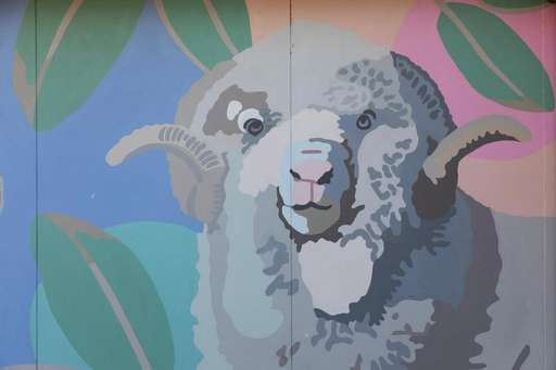 Kangaroo Island Veterinary Clinic