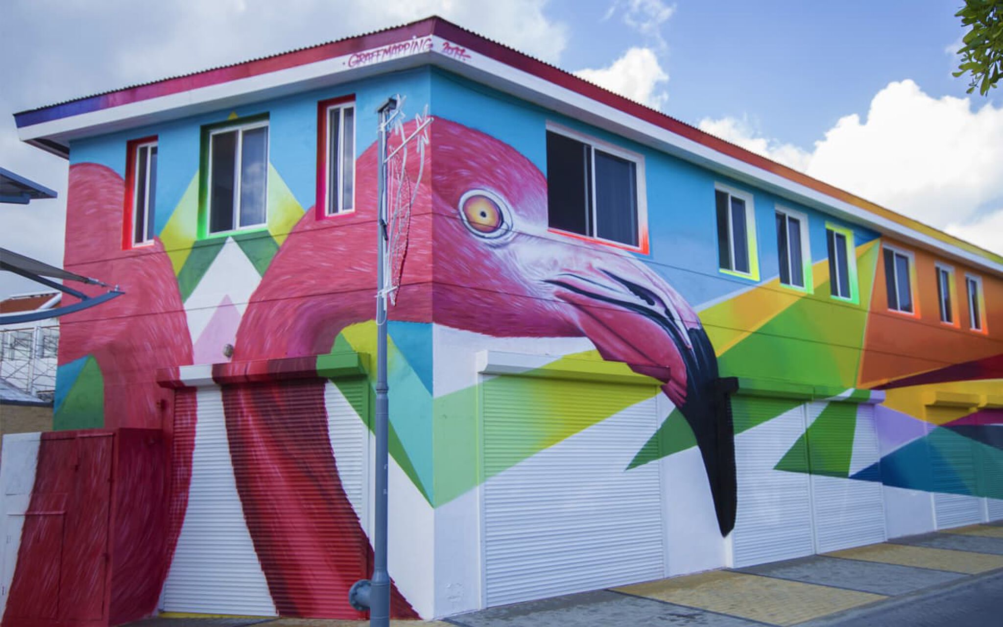 Graff Mapping&mdash;Flamingos