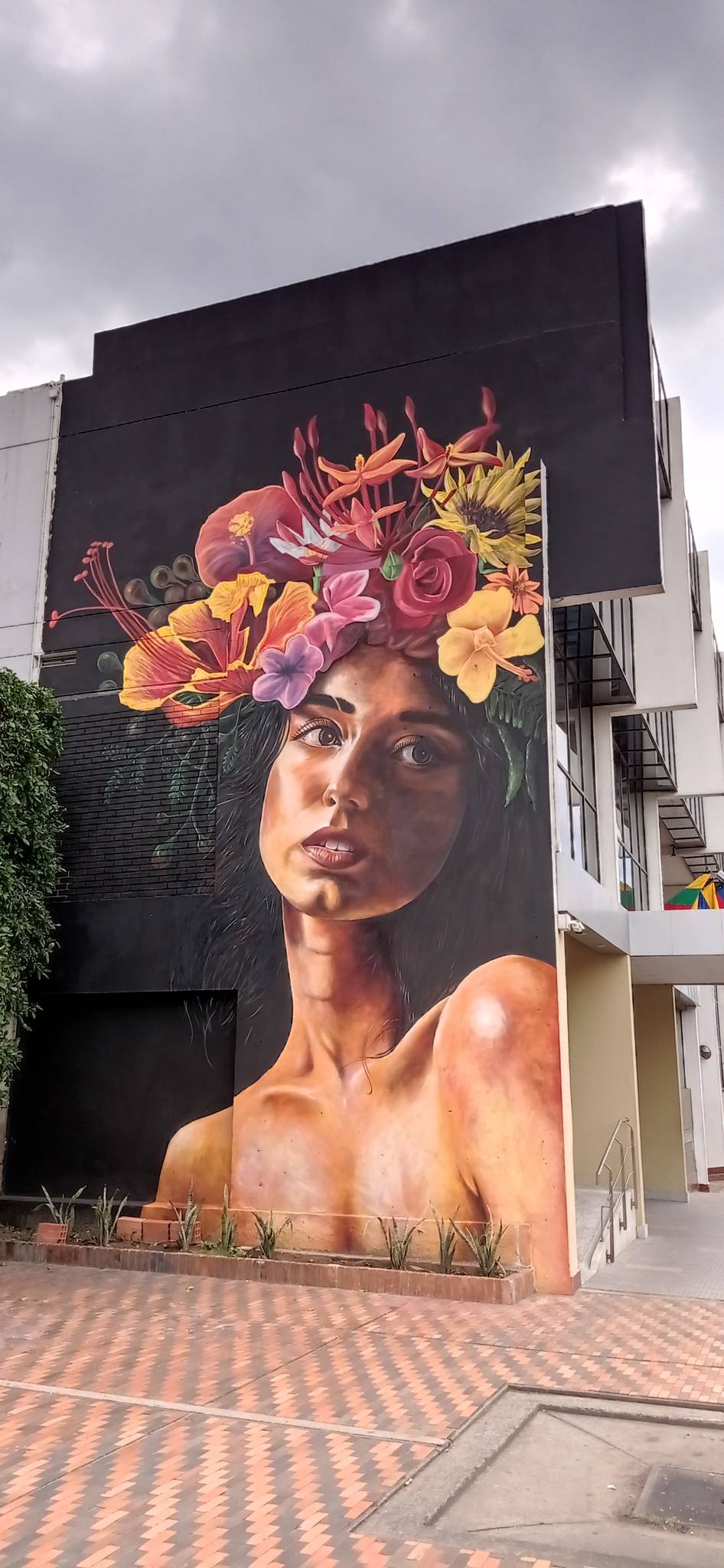 Esquema Colectivo, Vicdarina, Táriba, Darwin Mazo (Dama)&mdash;Ixora y Flores