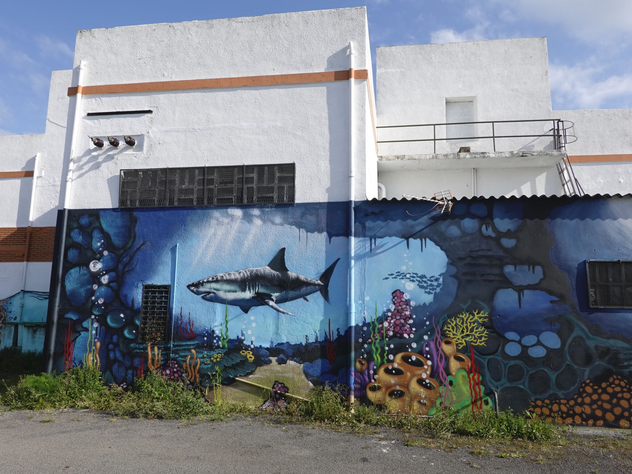 Steve Camino, mezclandocolores83&mdash;White Shark