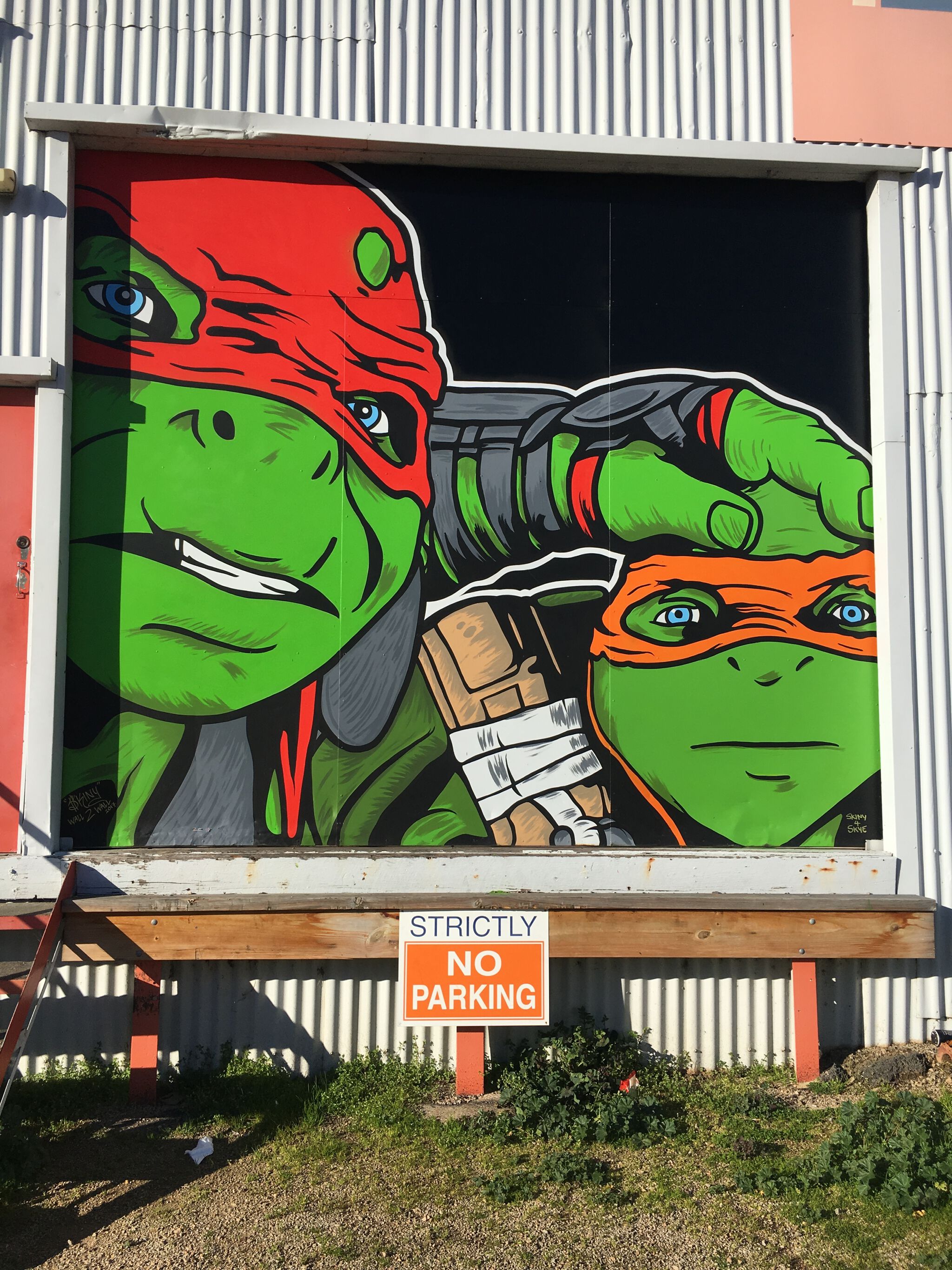 Skinny&mdash;Michelangelo and Raphael