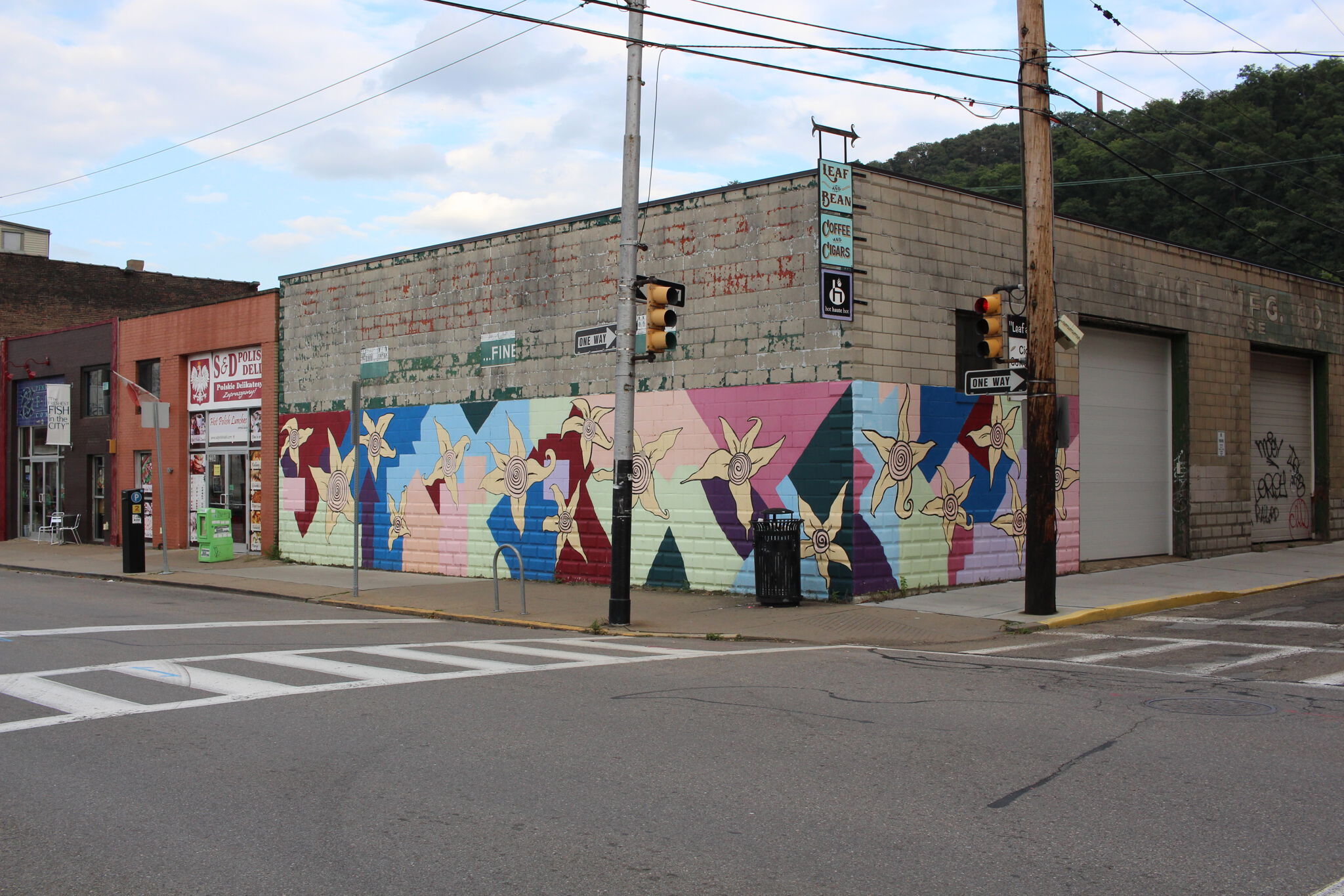 Unknown - Pittsburgh&mdash;Star Shaped Flowers Mural