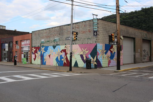 Star Shaped Flowers Mural