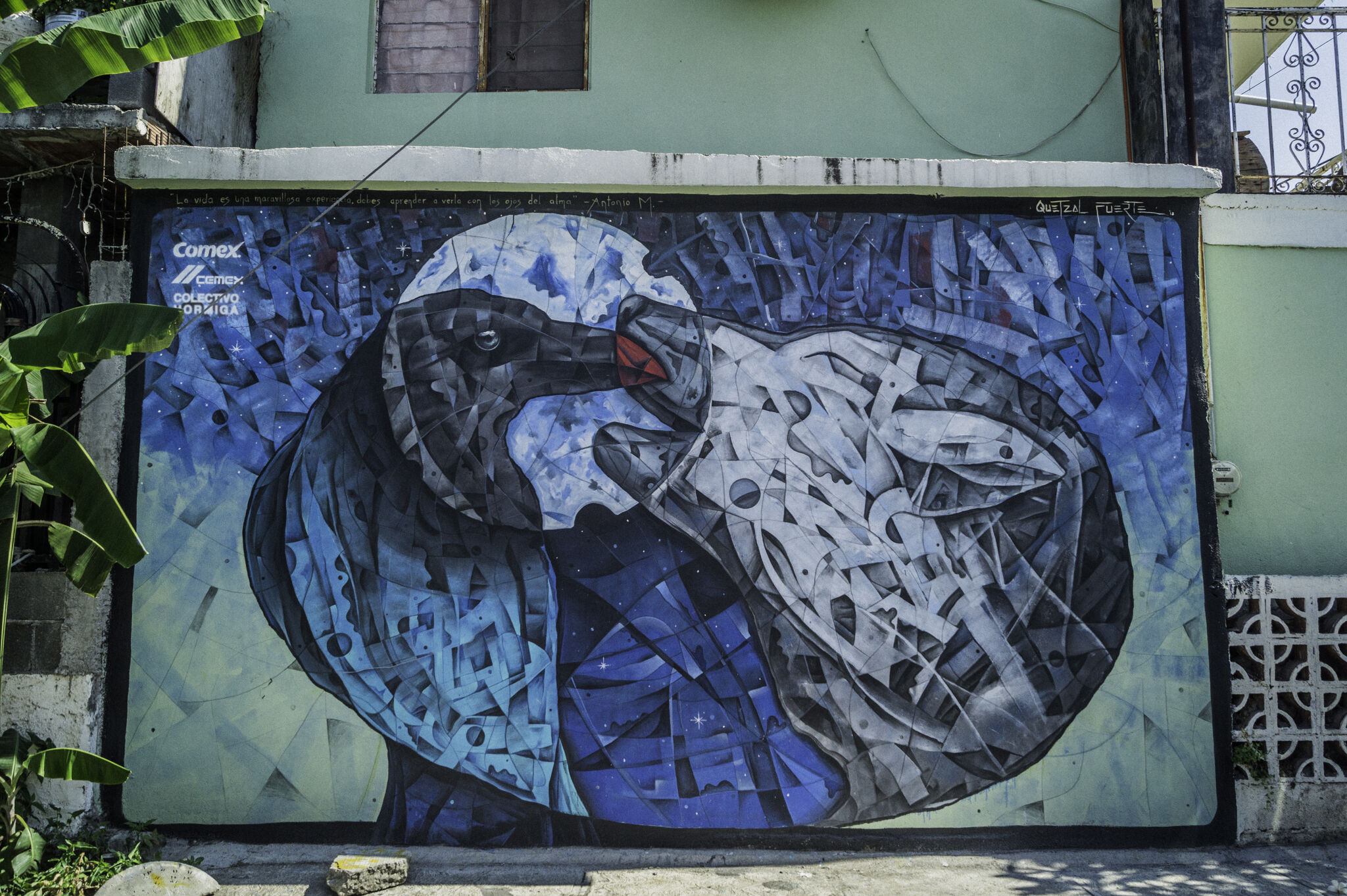 Juan Fuerte, Colectivo Hormiga, Colectivo Tomate&mdash;SN / Galería Arroyo Seco