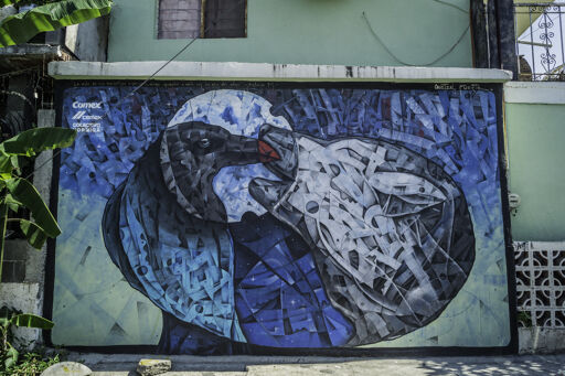 SN / Galería Arroyo Seco