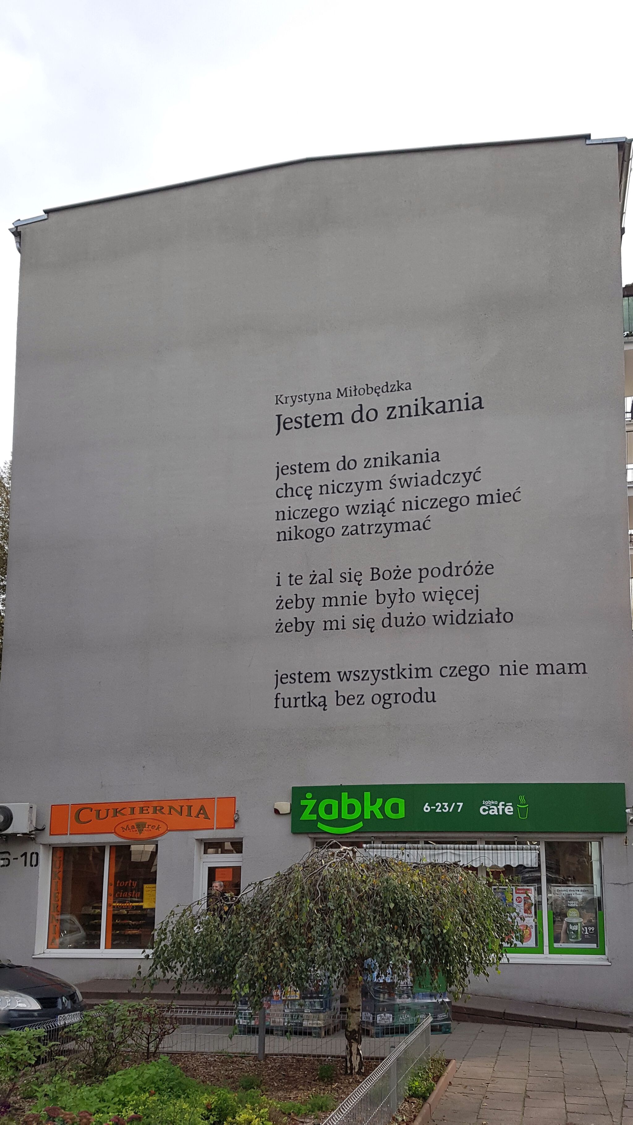 Tomasz Genow, Joanna Pańczak&mdash;Untitled