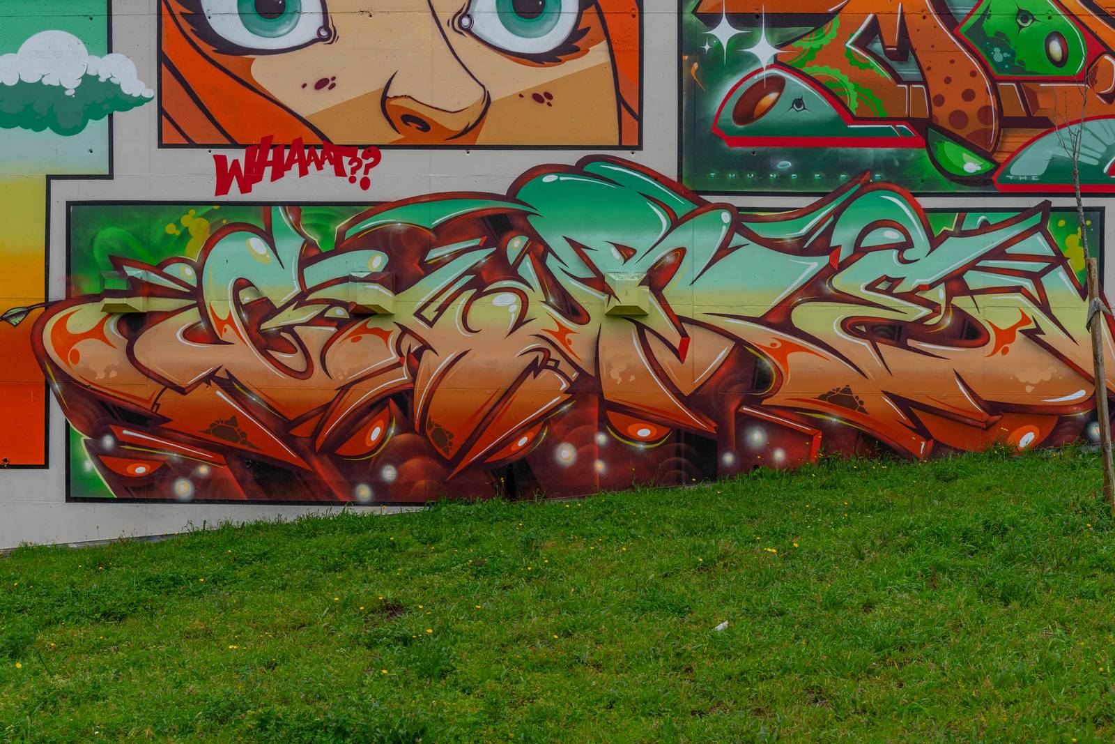 Thunders Crew&mdash;undefined