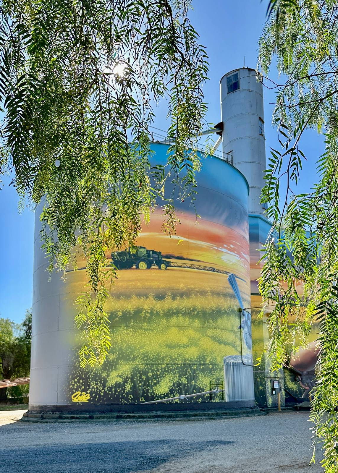 Smug&mdash;Rupanyup Silo Art
