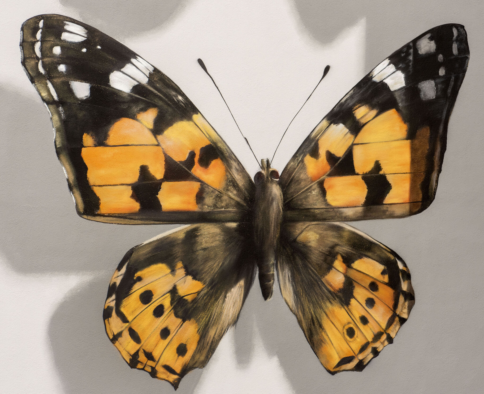 Mantra&mdash;The most beautiful butterflies of the city