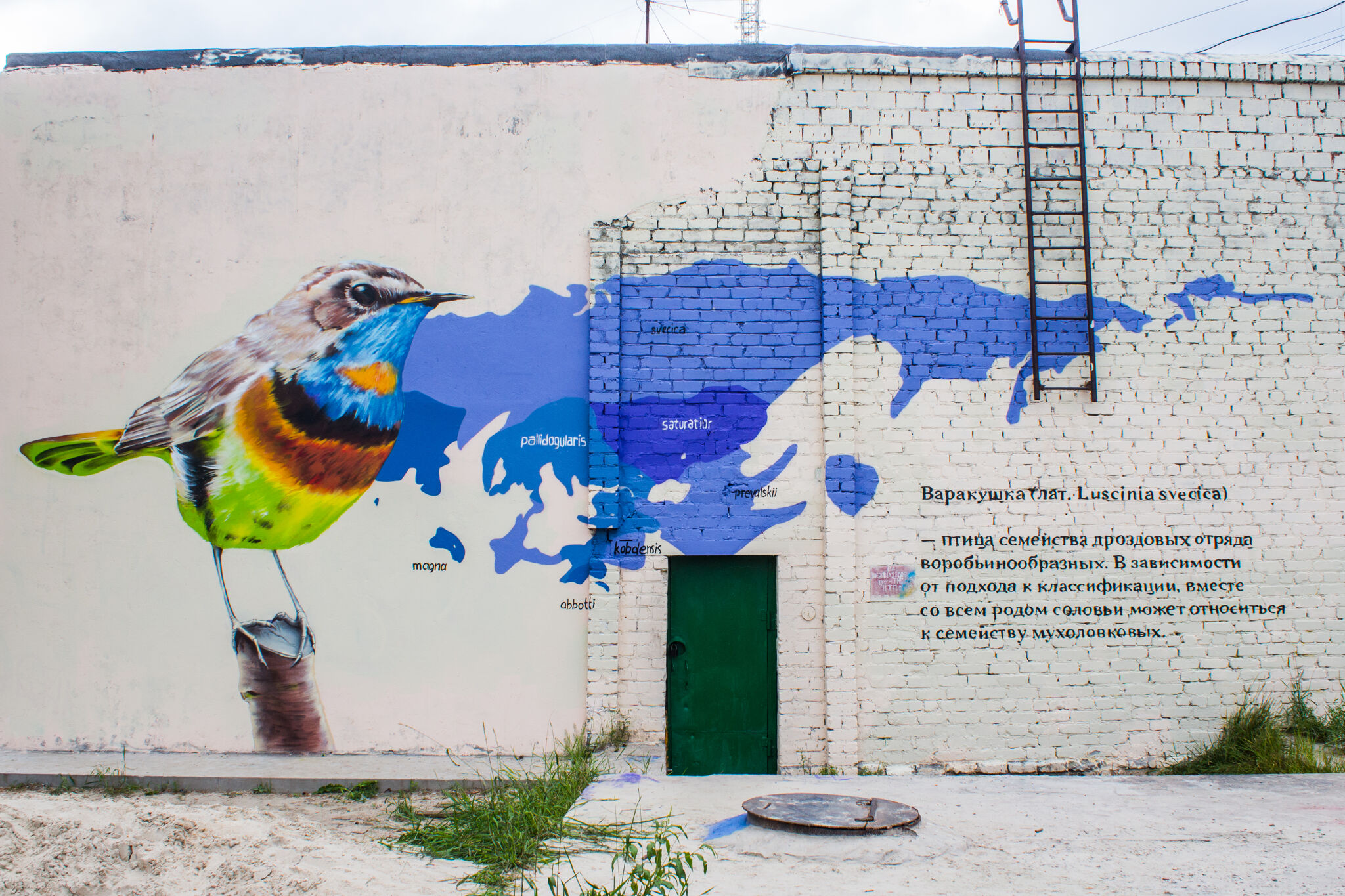 Alexander Galeshnikov, Alexander Dergachev&mdash;Northen birds