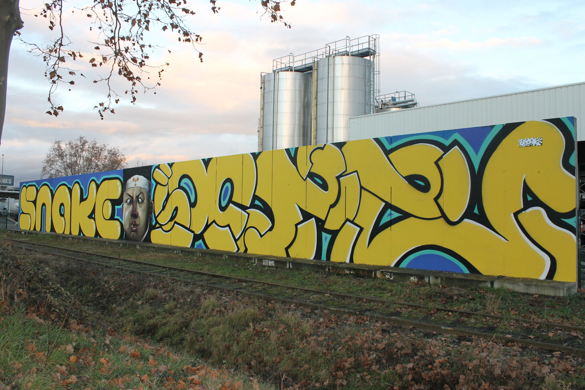 Snake, Julien Soone&mdash;Atomik Wall (N'est plus visible)