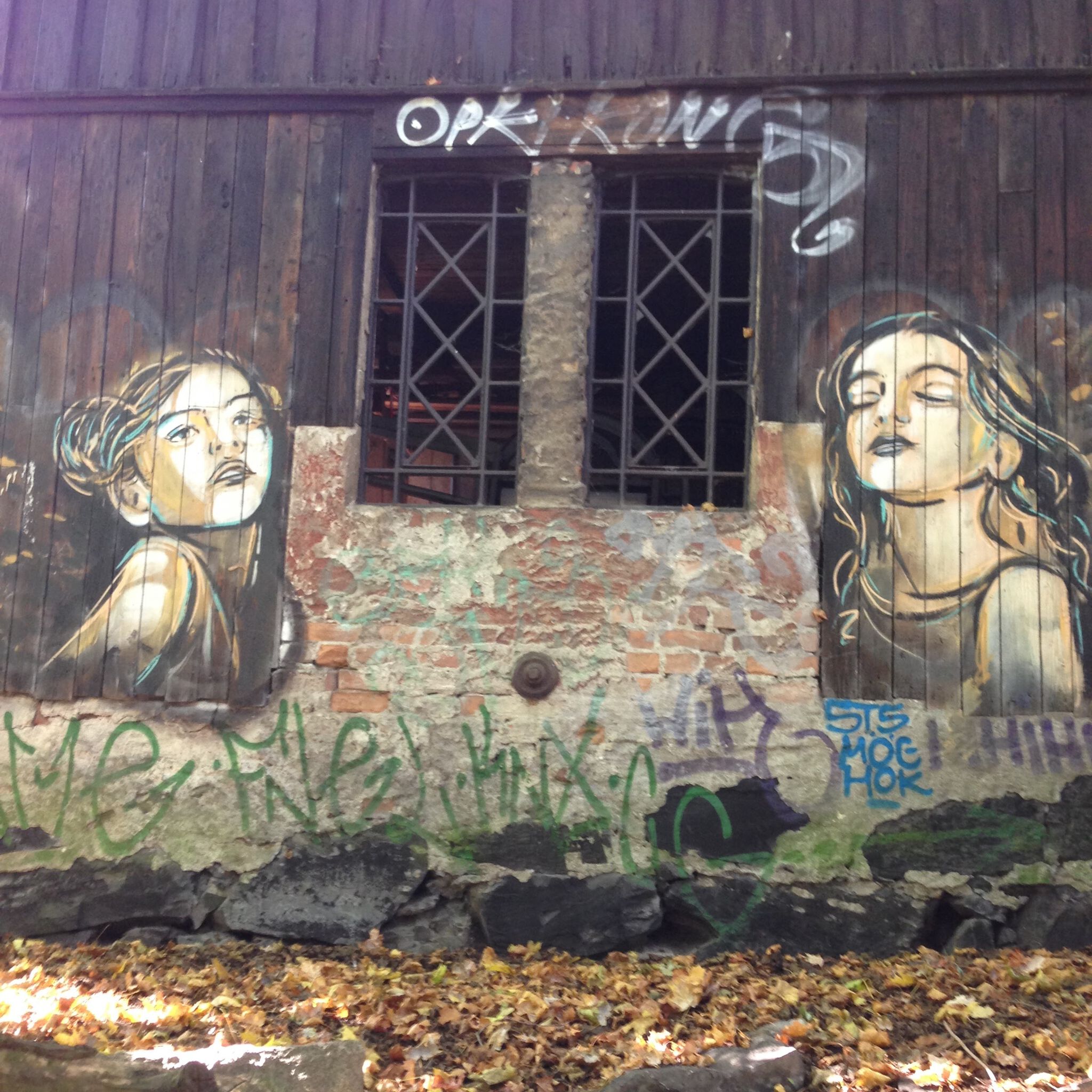 Alice Pasquini&mdash;Untitled