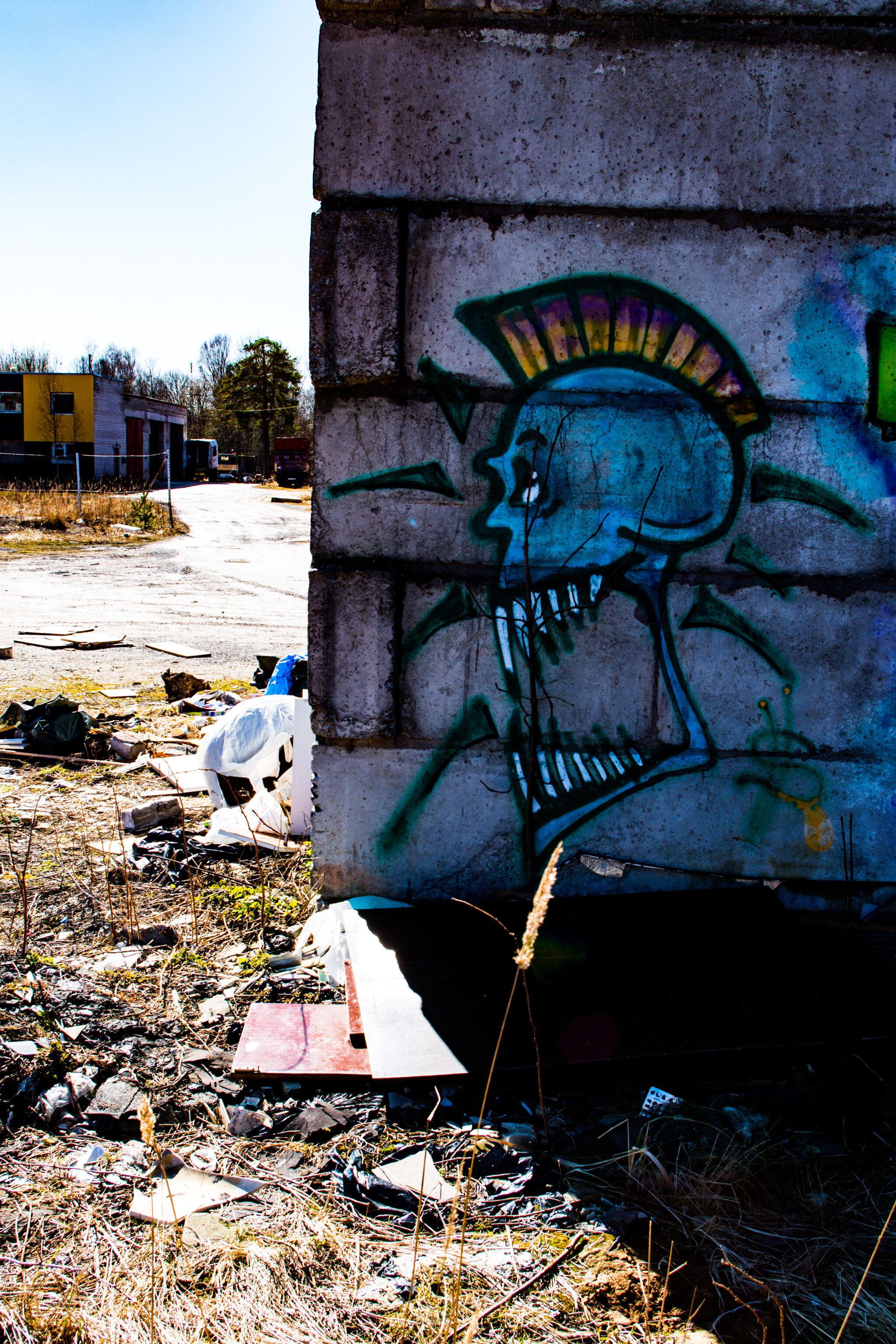 Unknown - Tallinn&mdash;Punkhead