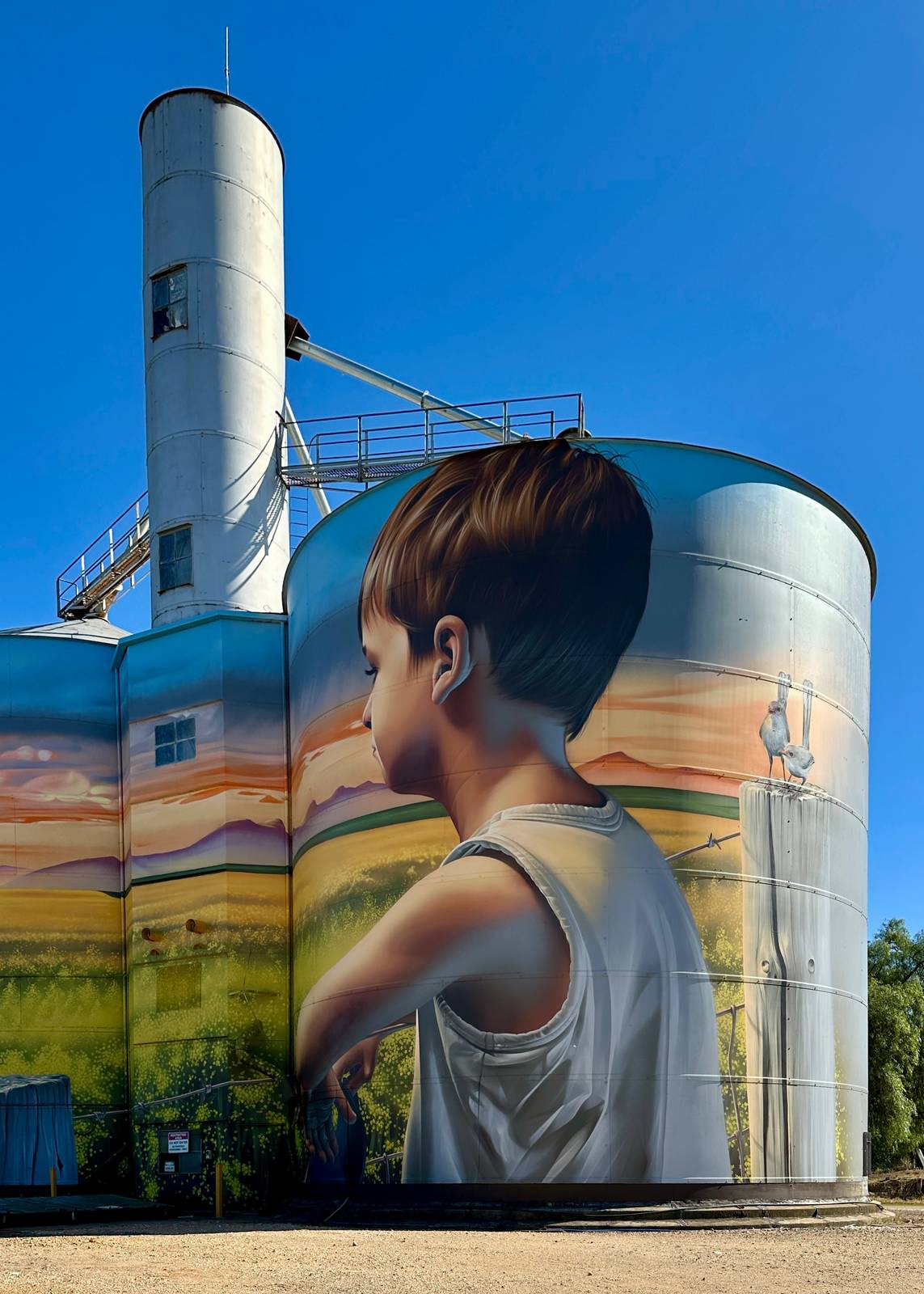 Smug&mdash;Rupanyup Silo Art