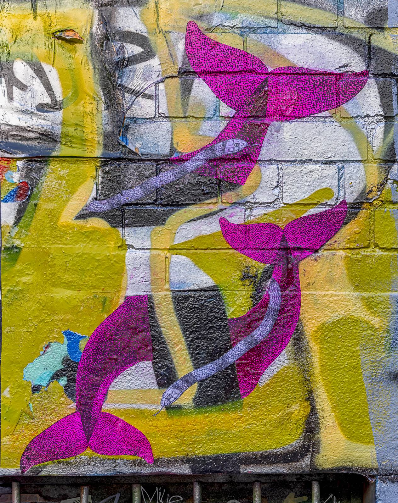 Phoenix the Street Artist&mdash;Snakes and Whales