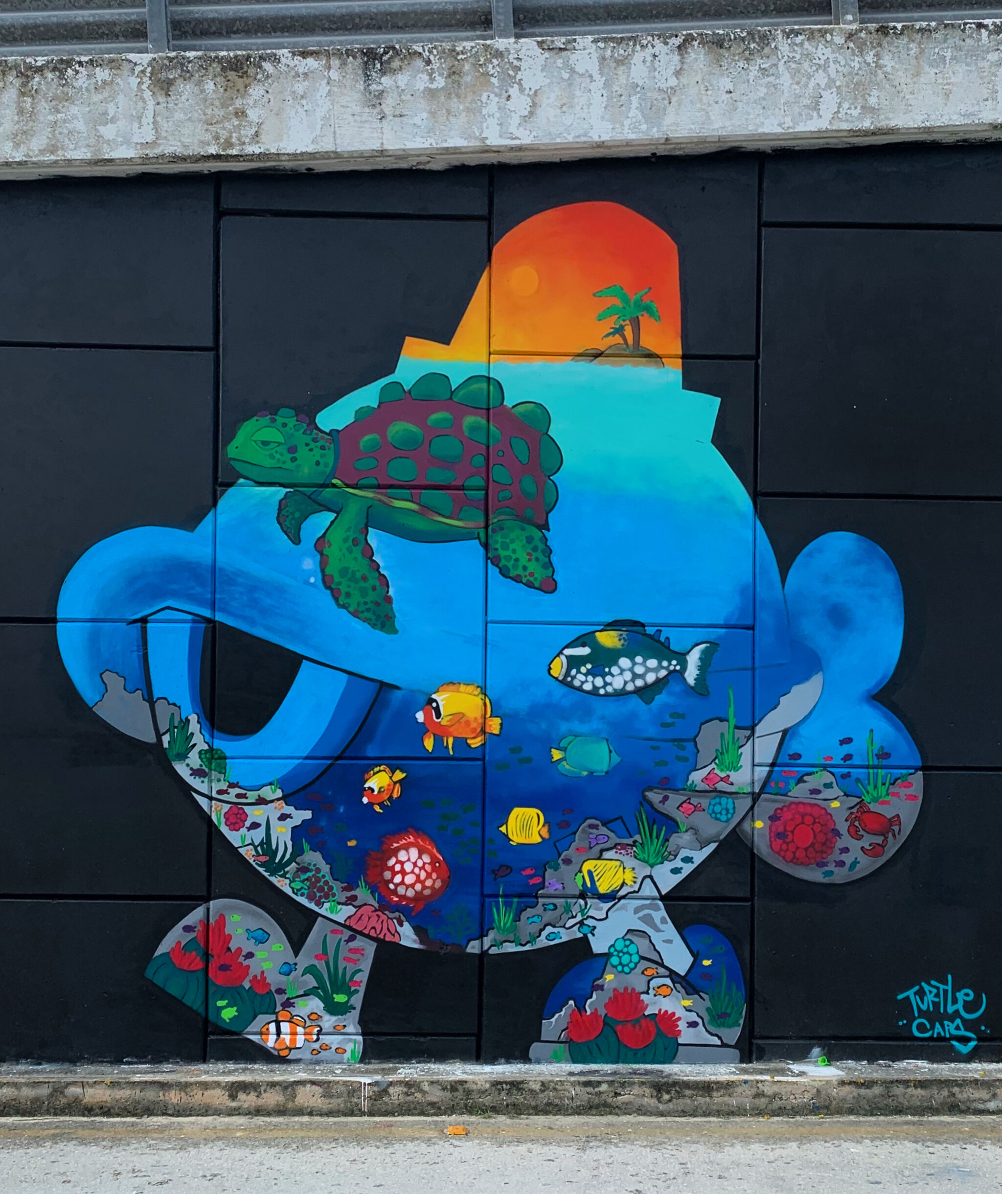 Turtlecaps&mdash;Turtle