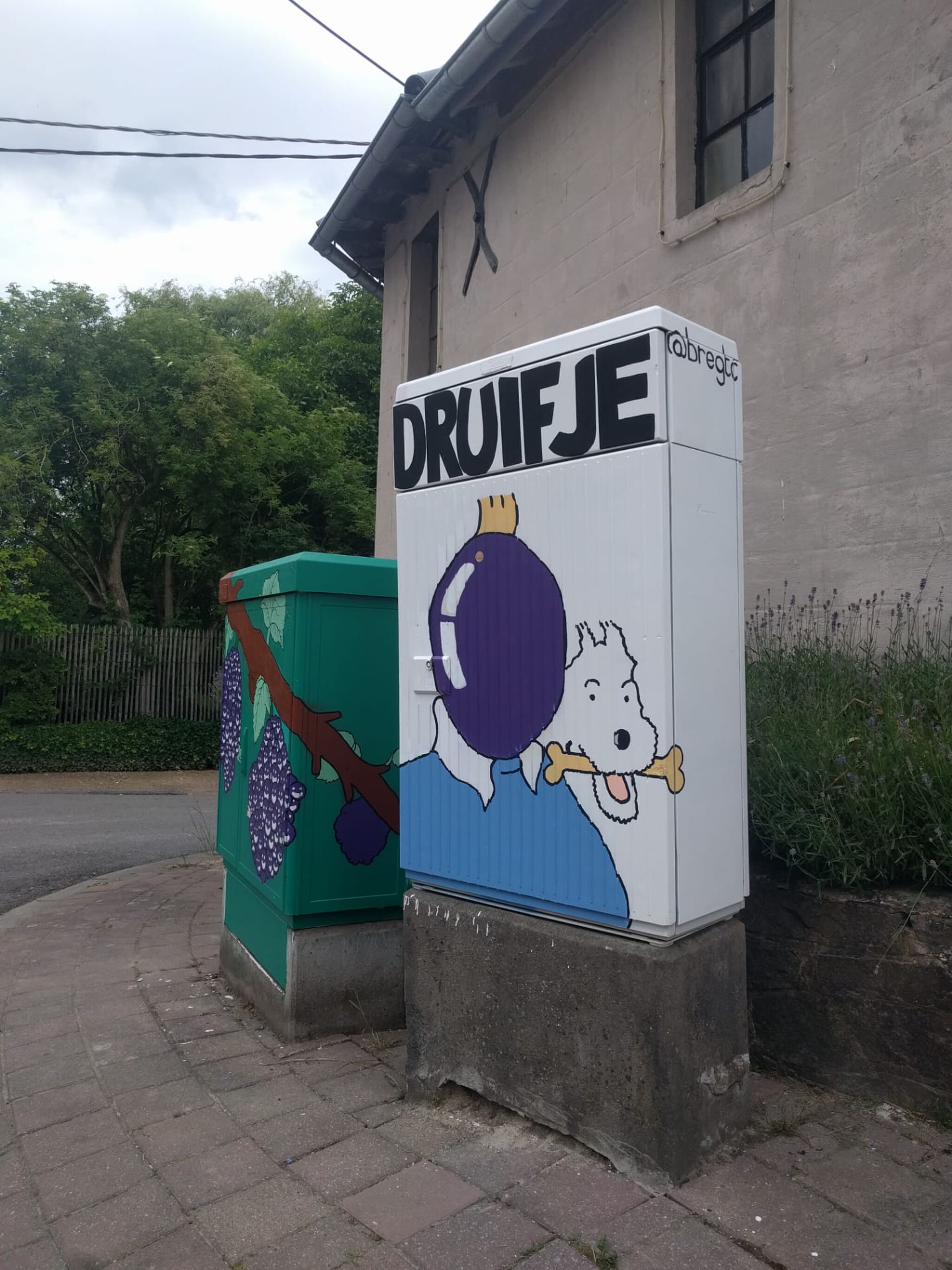 Bearhole&mdash;Tour Elentrik - Druifje