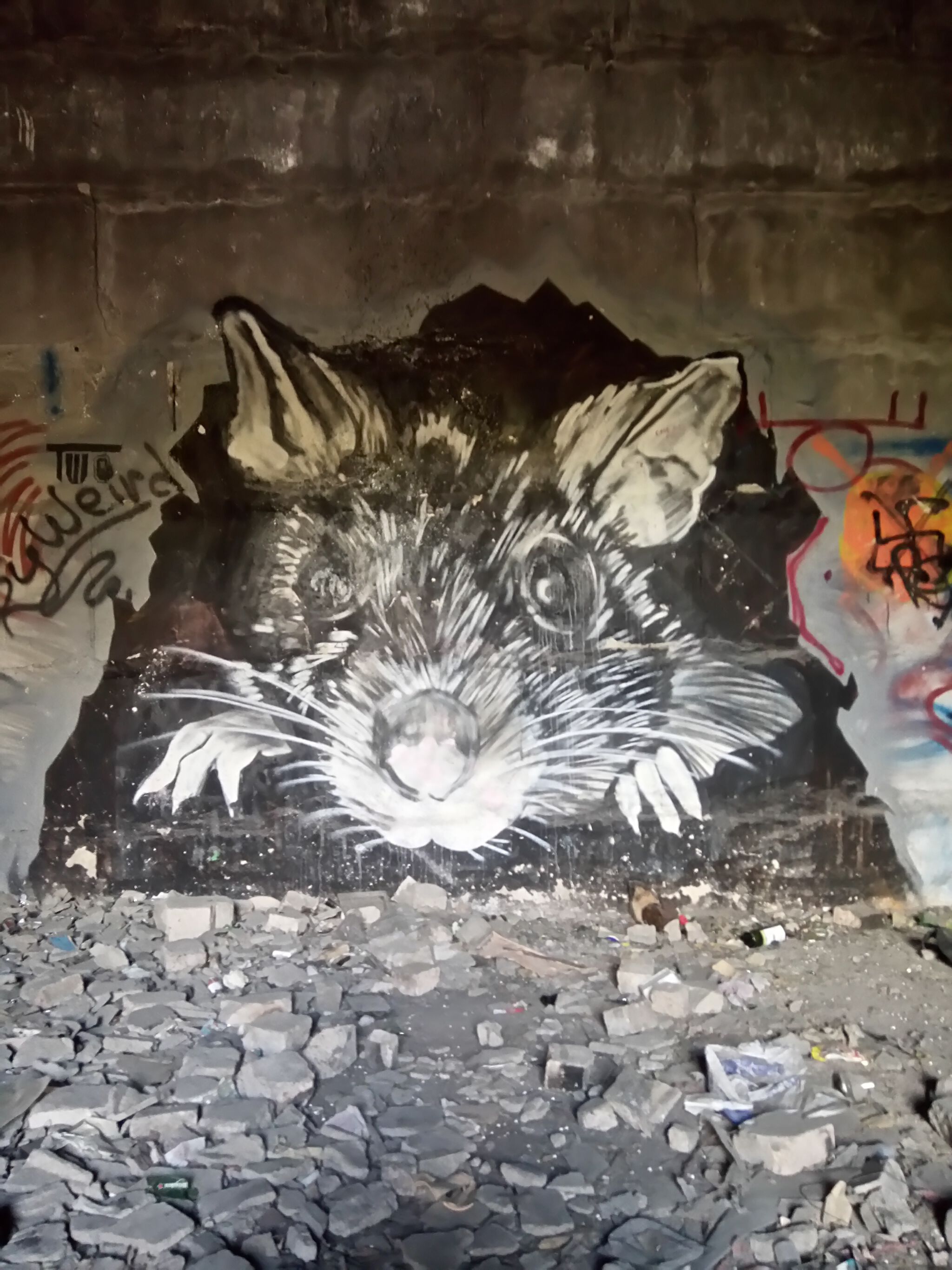 Dima Slash, Pasha183, Manos Ganchos, Alter, Lev, Cathartt, Various Artists&mdash;Hall of Fame 'At Losinyi'
