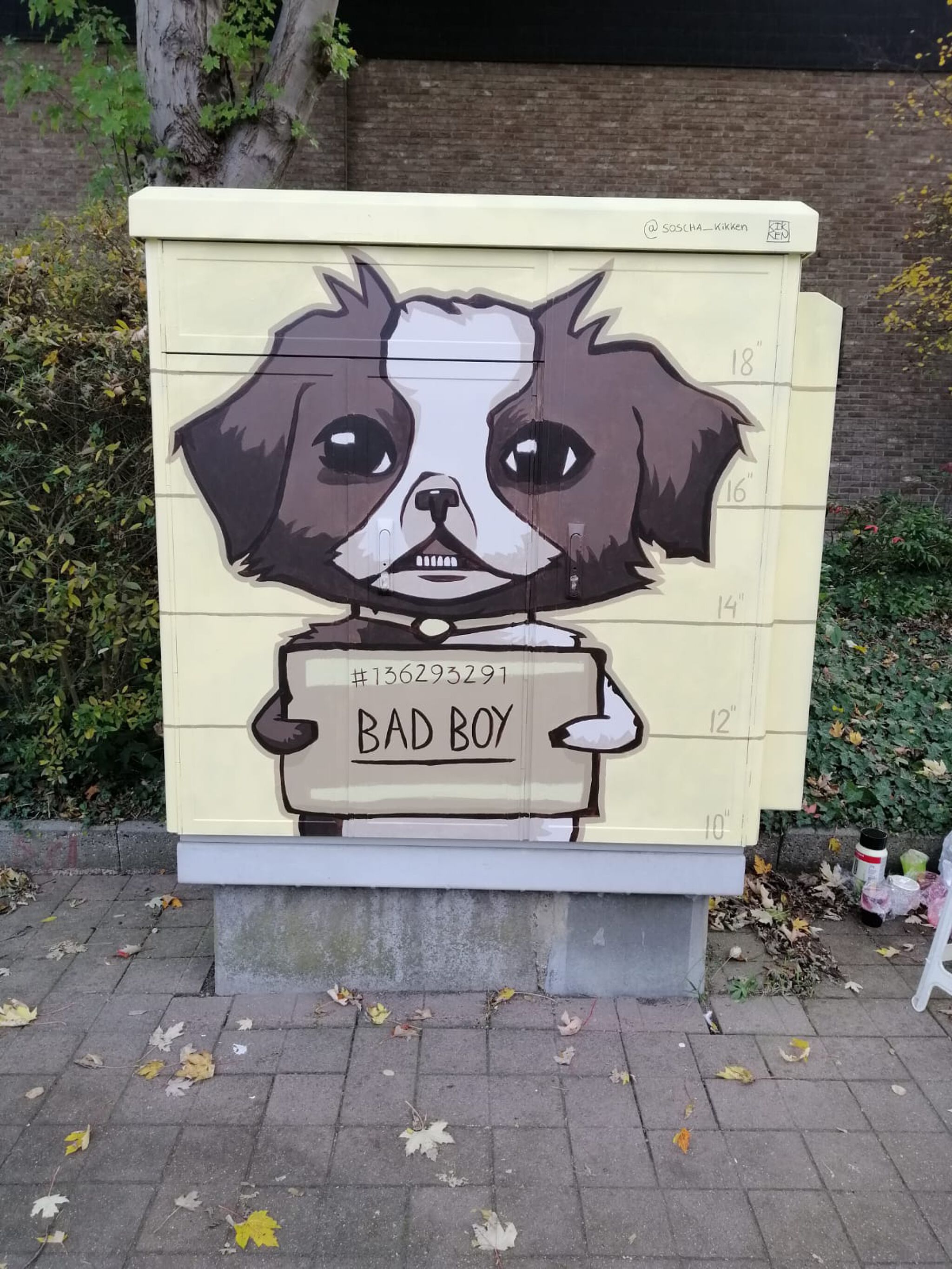 soscha kikken&mdash;Tour Elentrik - Bad boy