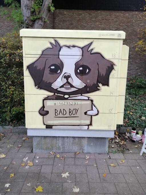 Tour Elentrik - Bad boy