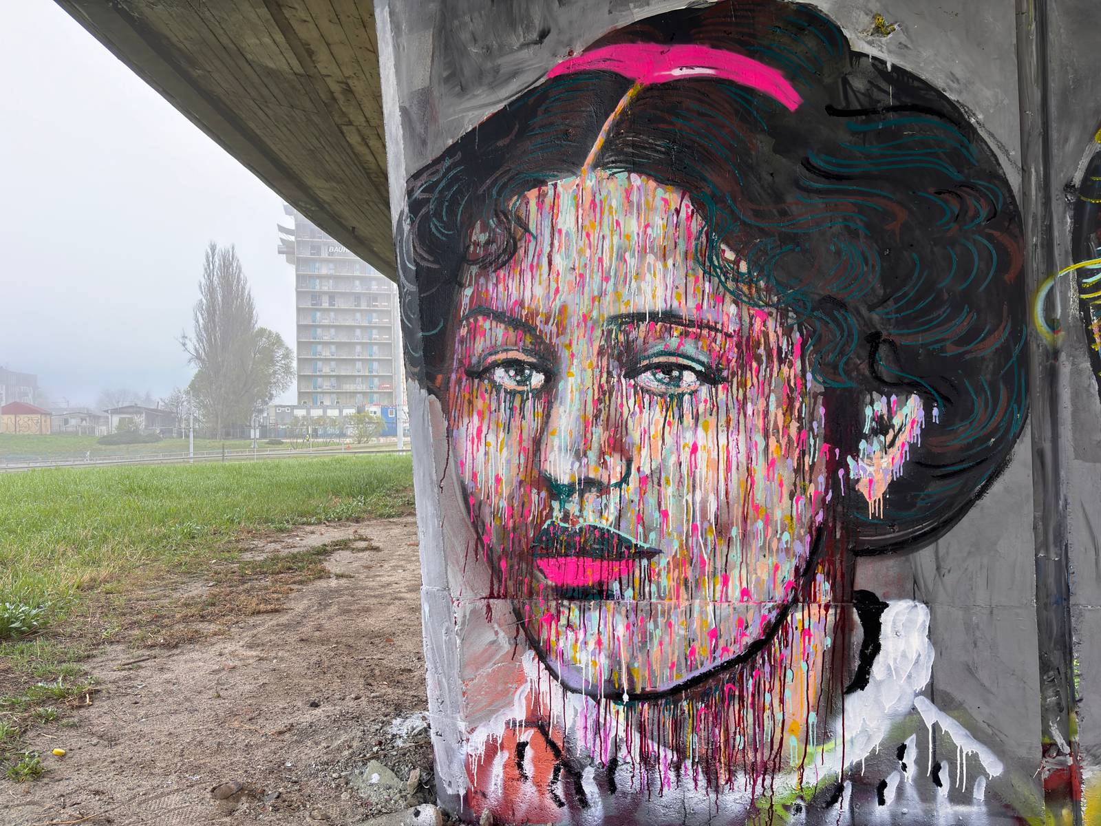 Martin Monet&mdash;Zofia Stryjenska
