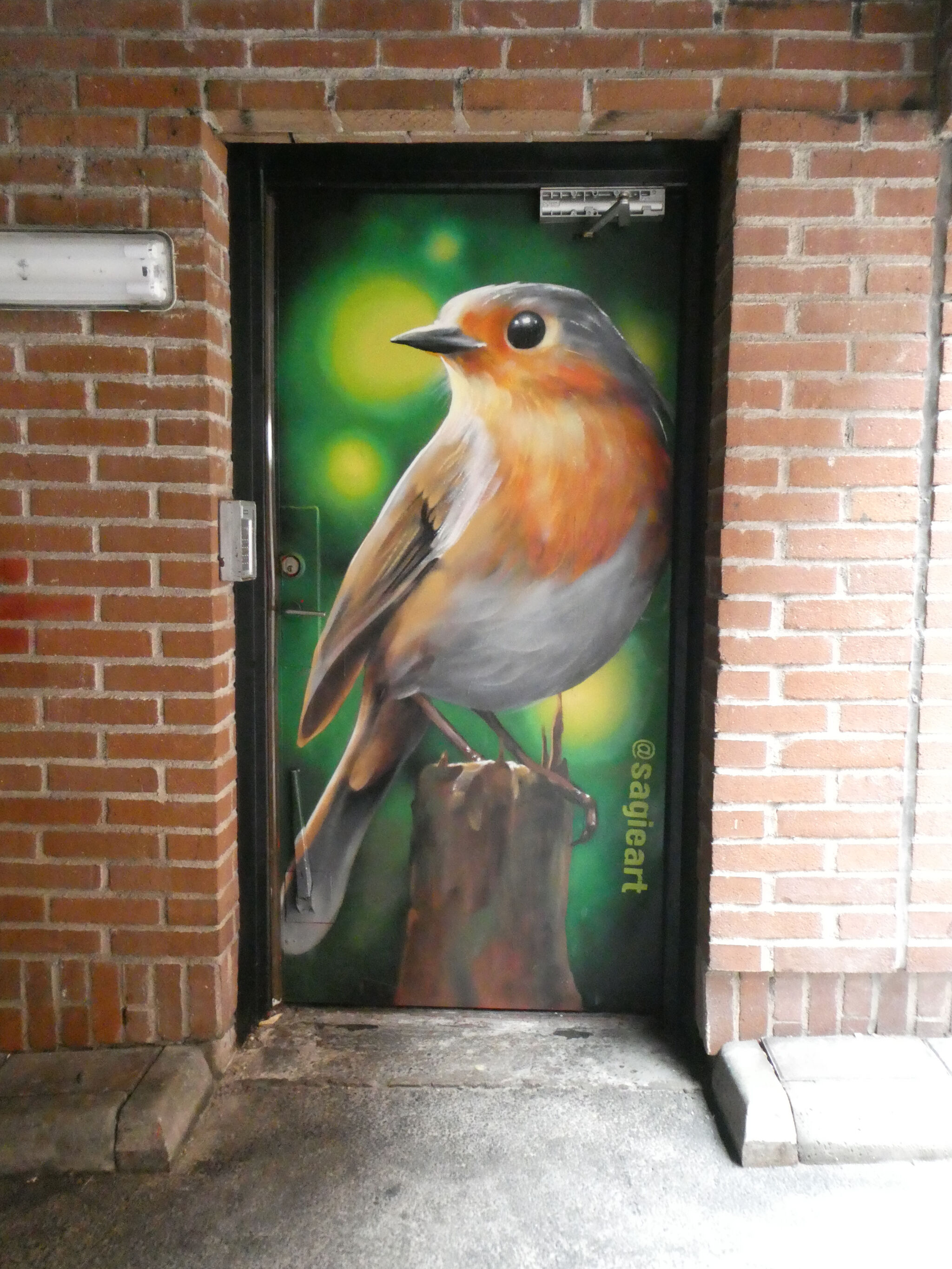 Sagie&mdash;Robin