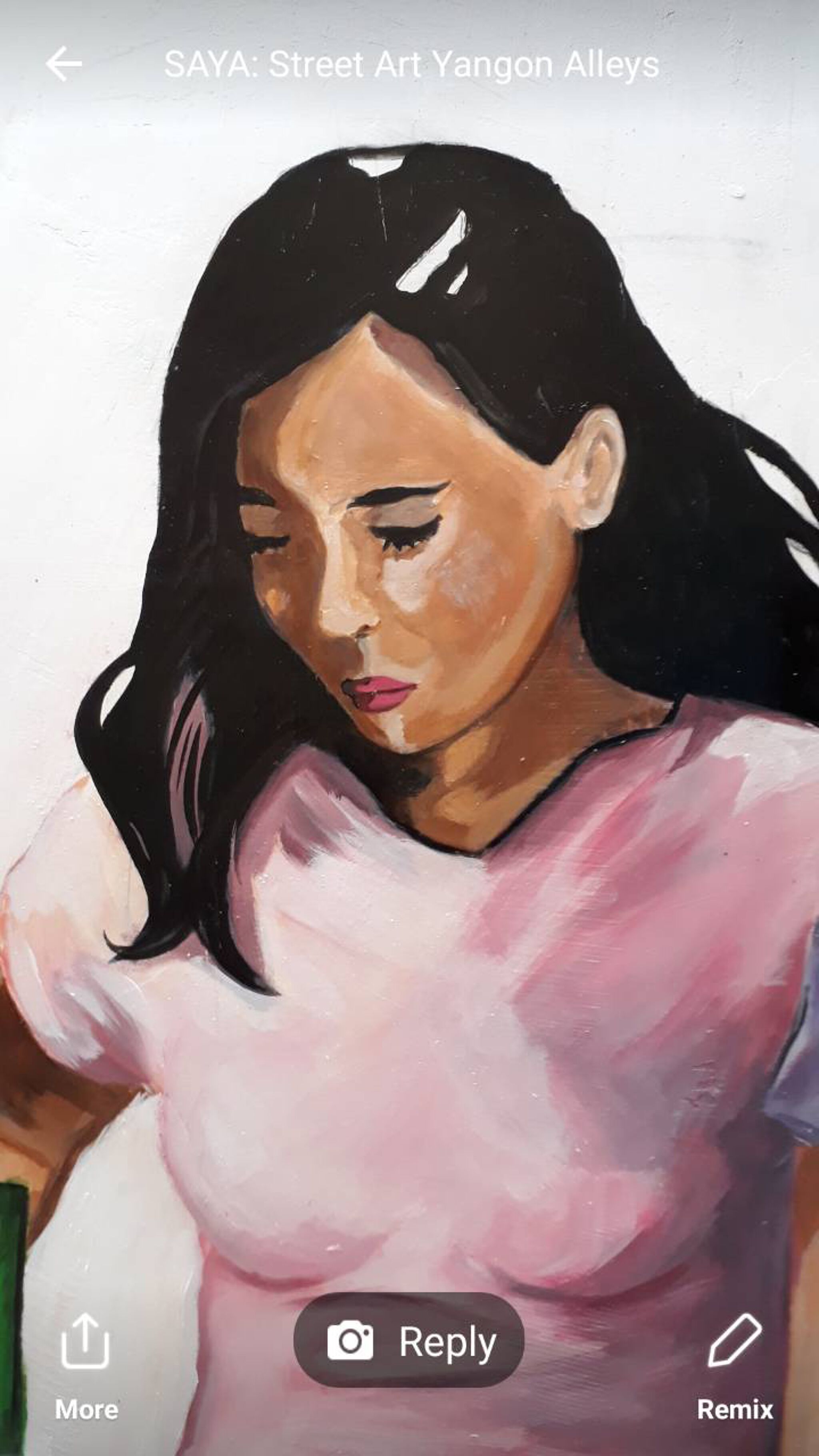Delphine de Lorme&mdash;6 burmese with a broom