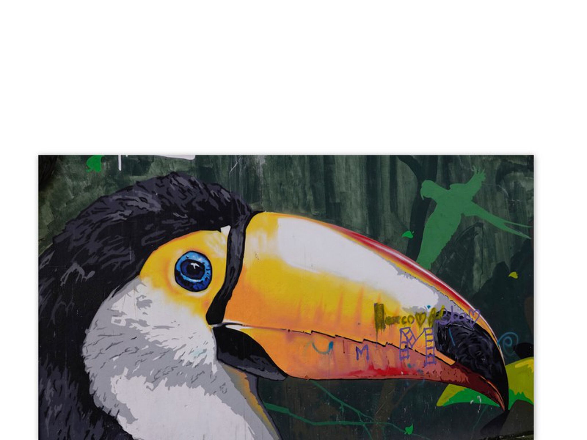 DEN XL ( Eva Mena), Jank&mdash;Papagayos and Parrots