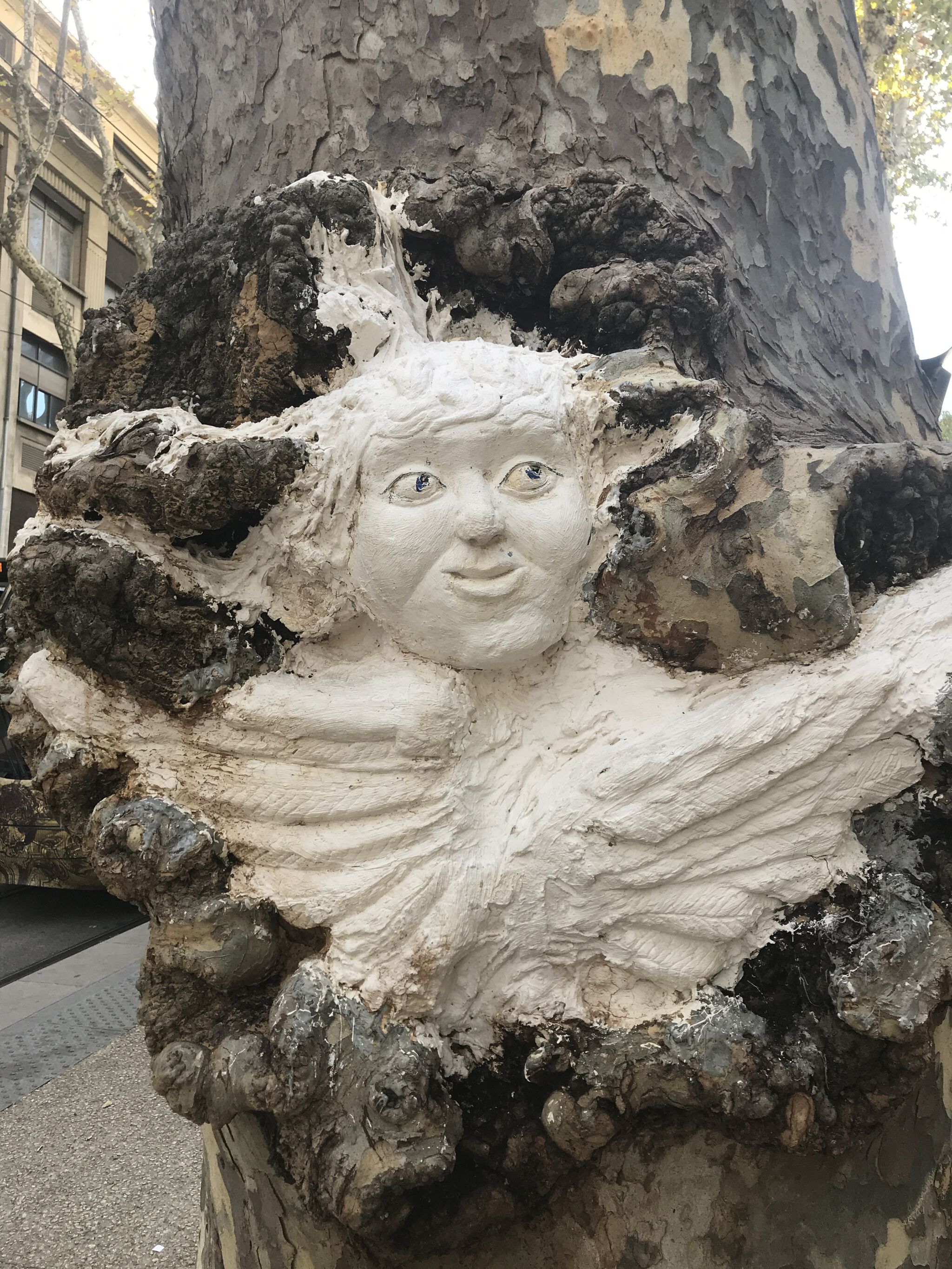 Unknown - Montpellier&mdash;Coeur de tronc