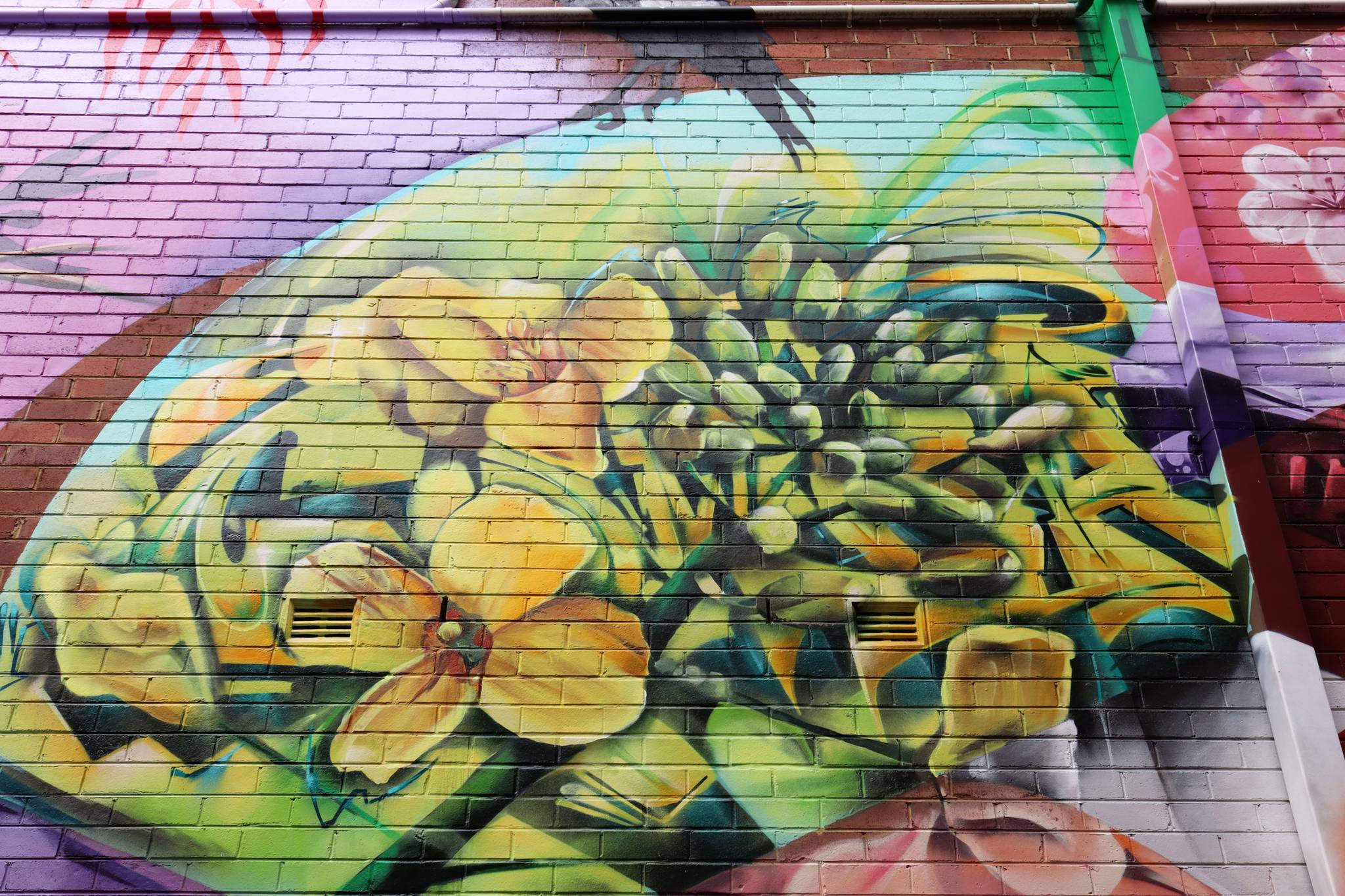 The Brightsiders, The Zookeeper, Drapl&mdash;Cowra Laneway Mural