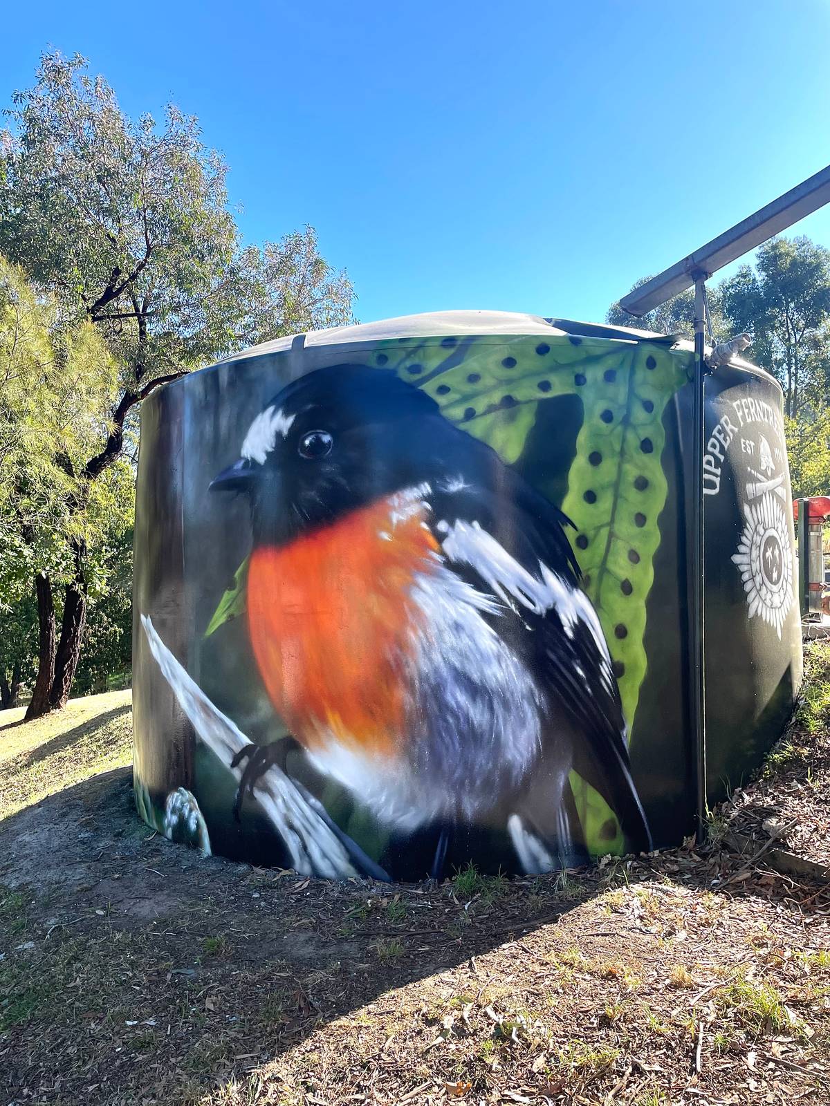 Dvate&mdash;Scarlet Robin