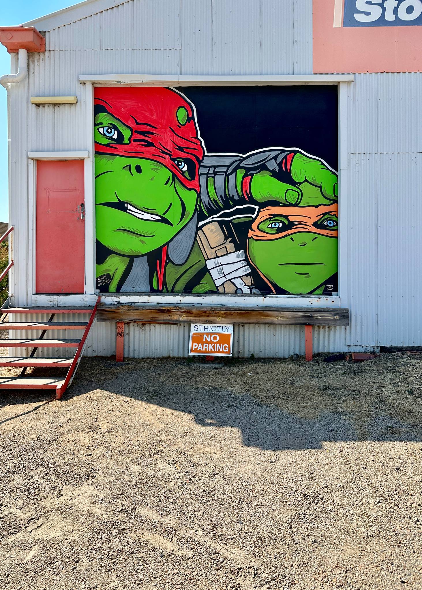 Skinny&mdash;Michelangelo and Raphael