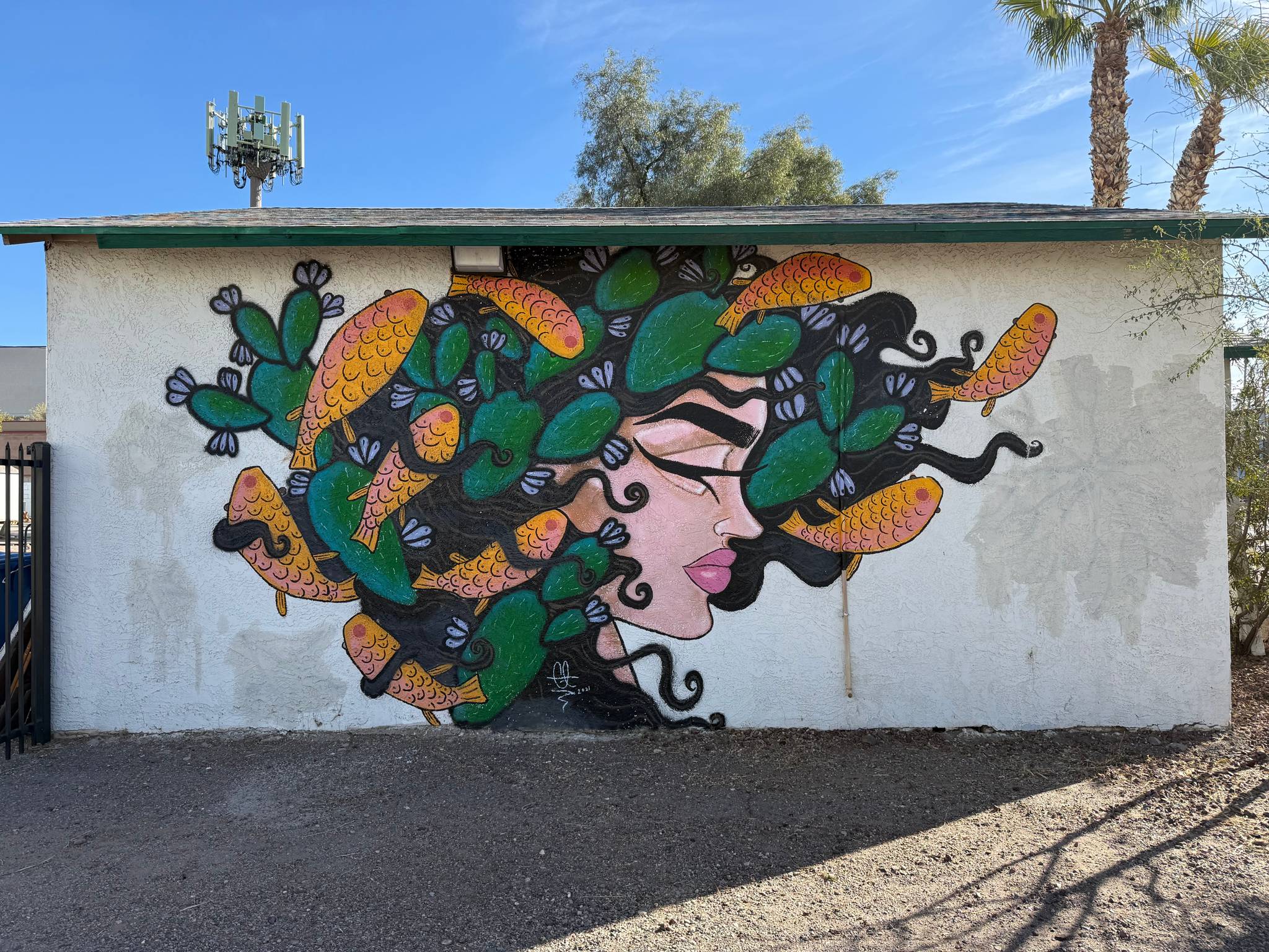 Unknown - Phoenix&mdash;undefined