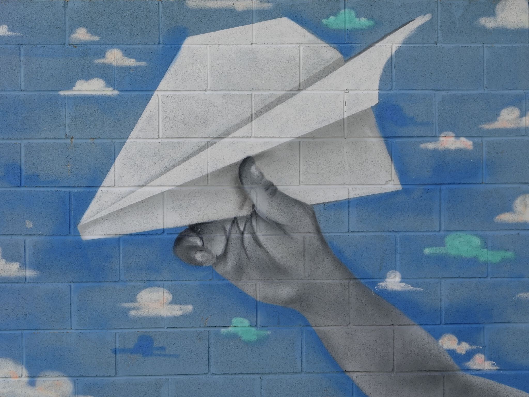 Steve Camino, mezclandocolores83&mdash;I dream of being a Pilot