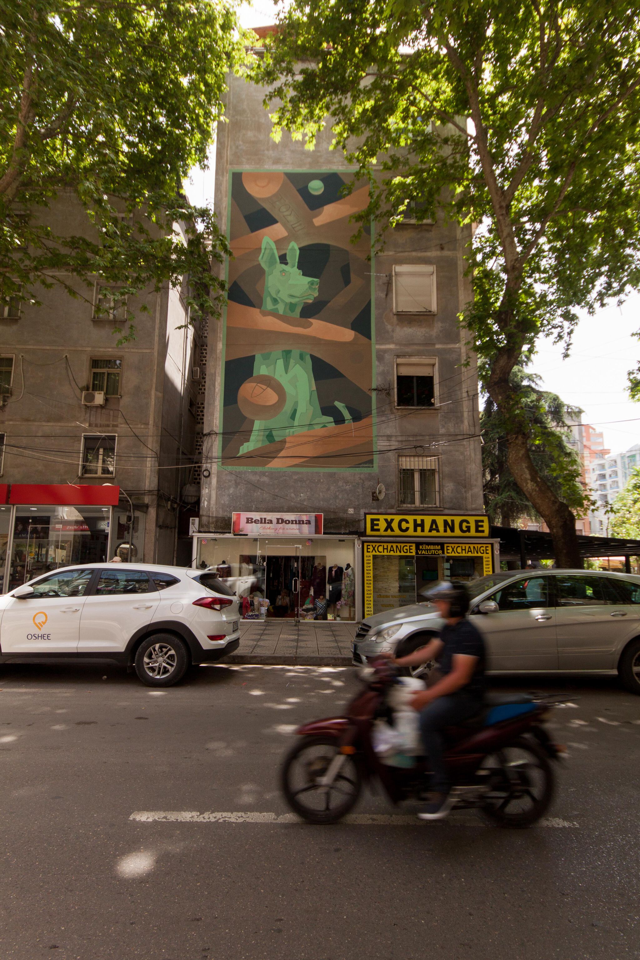 Mots&mdash;For the street dogs of Tirana