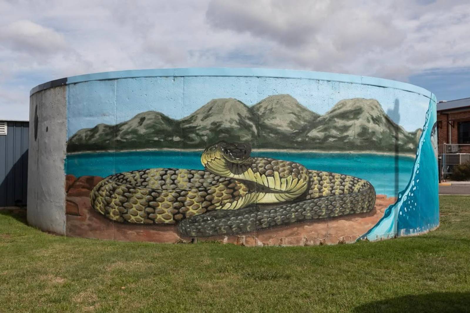 Jarad Danby&mdash;Tiger Snake