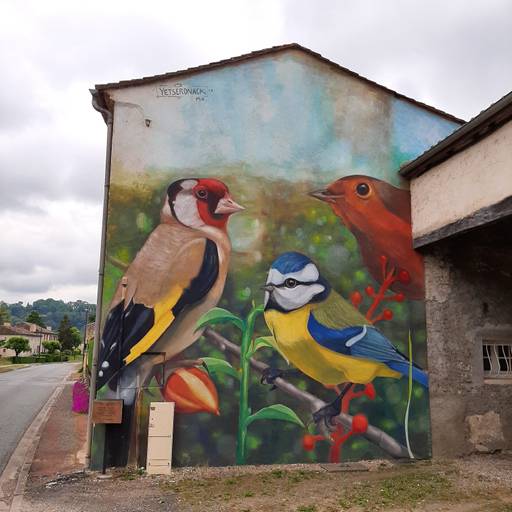 Birds