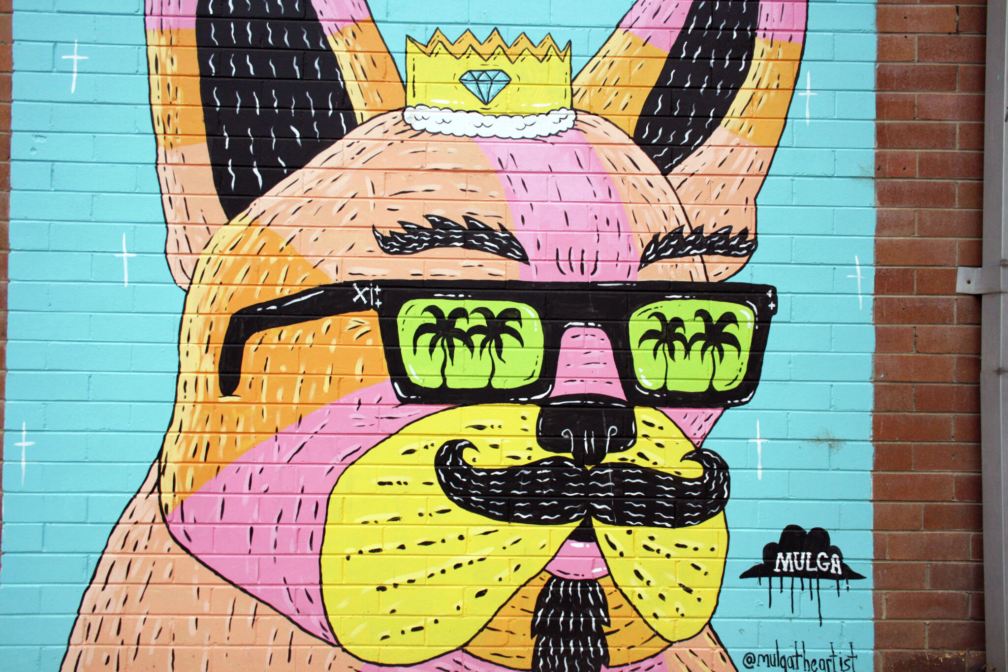 Mulga&mdash;King Andre the French Bulldog