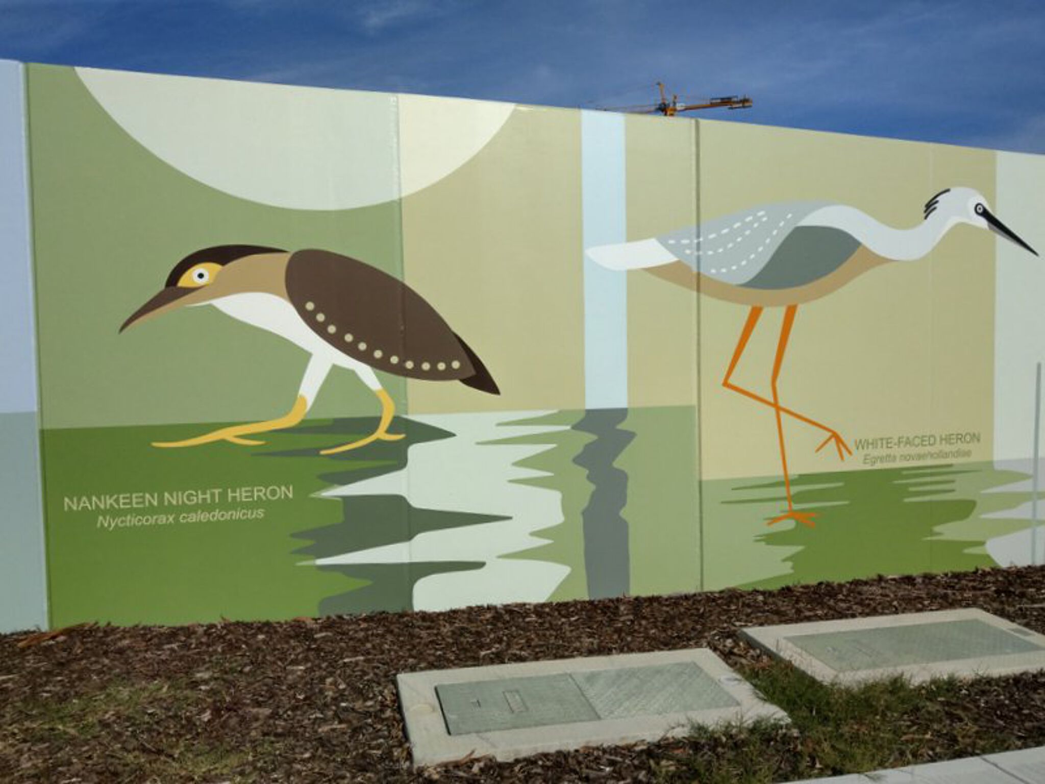 Steve Tepper&mdash;I Like Birds