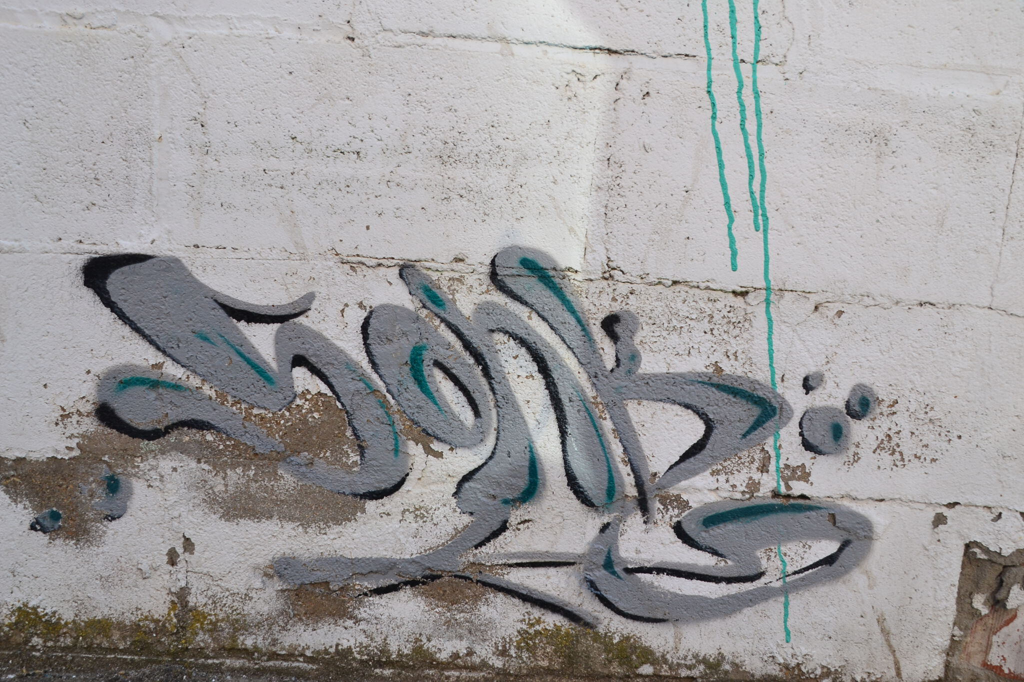Sonk&mdash;Aguila