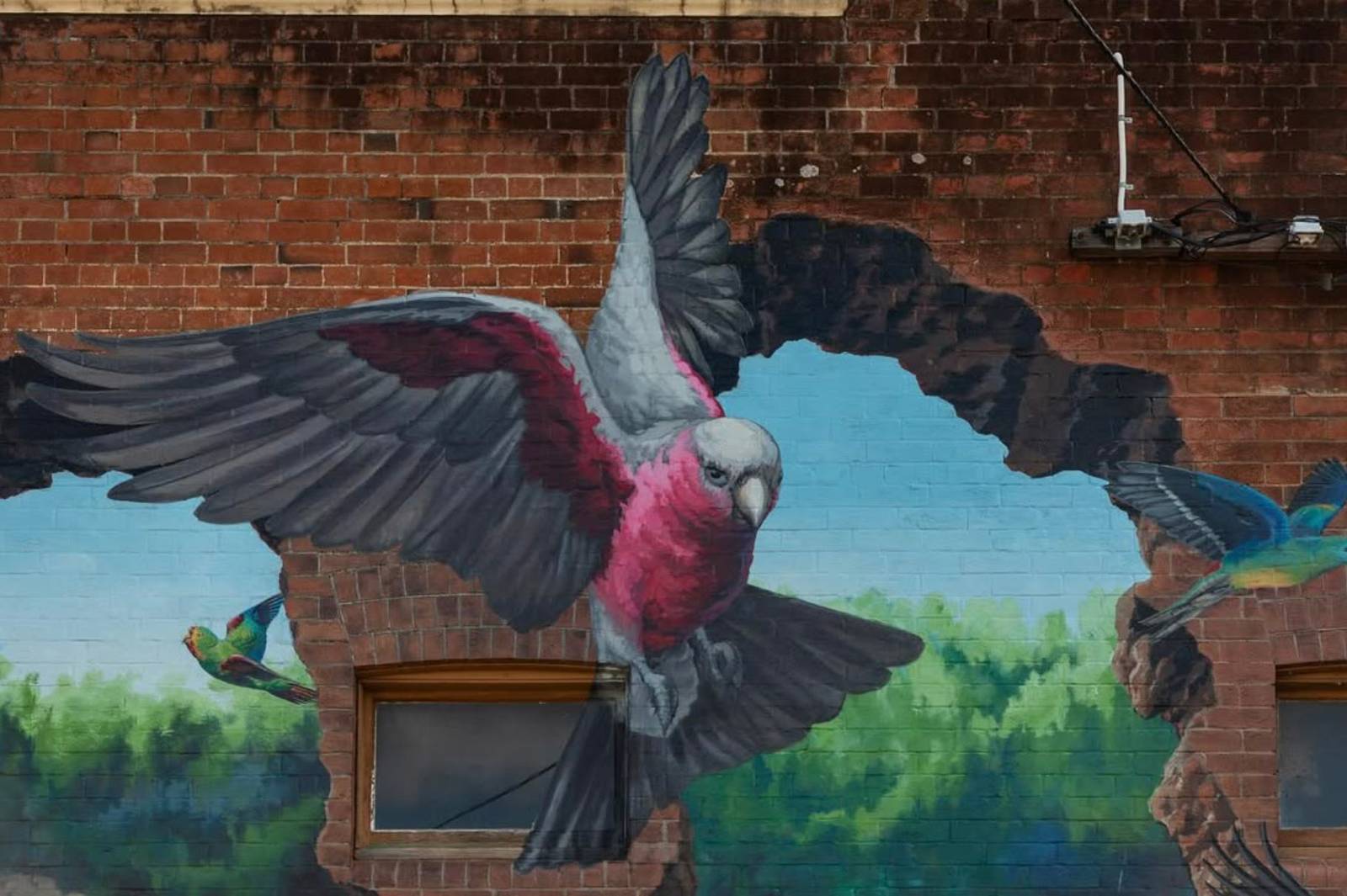 Jenny McCracken&mdash;Beyond the Walls