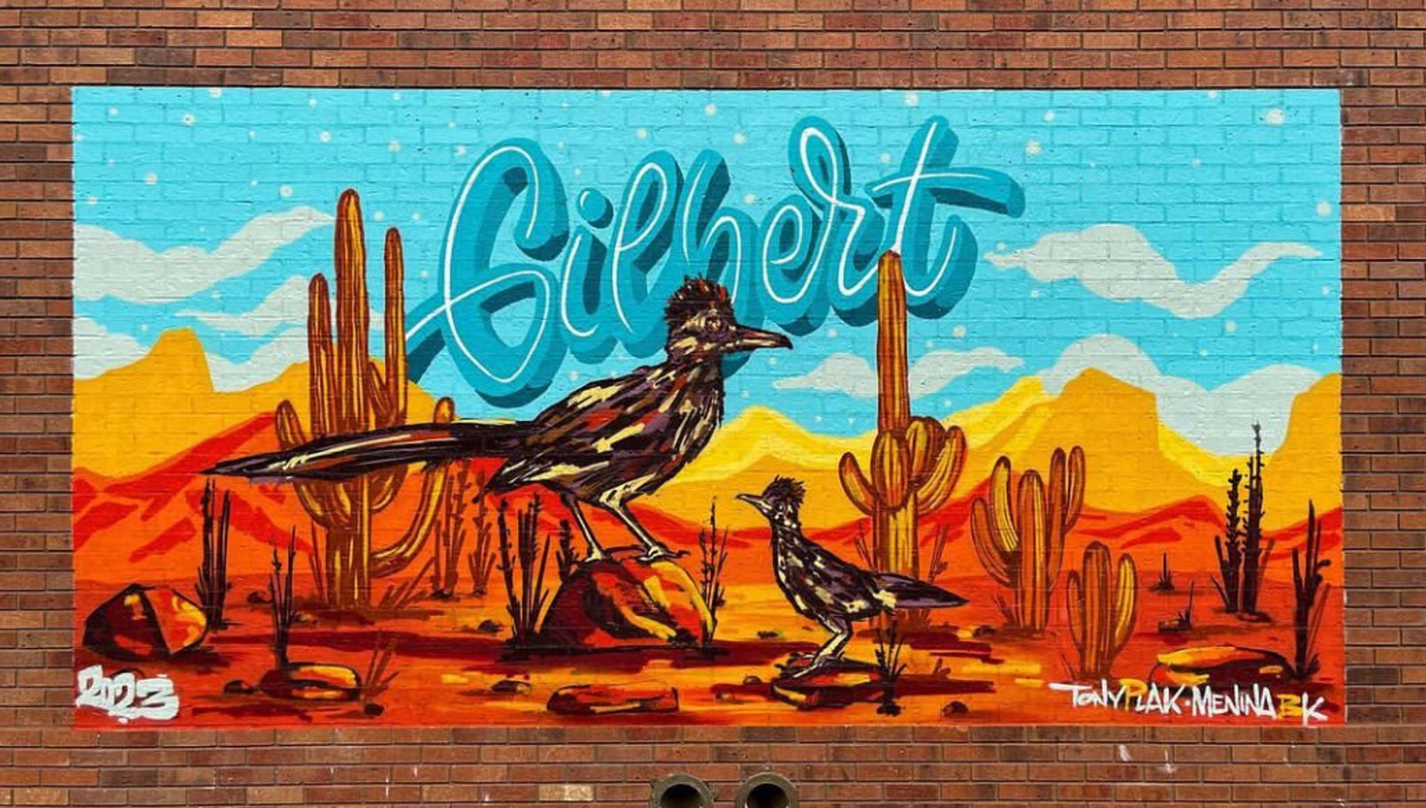 Tony Plak&mdash;Roadrunners
