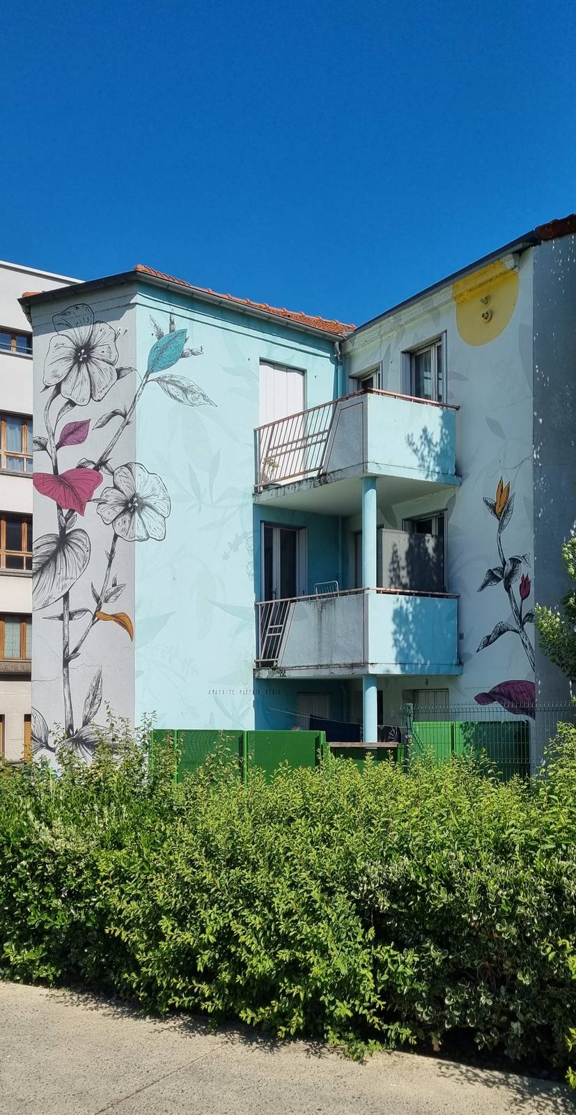 Fabio Petani&mdash;Petunia