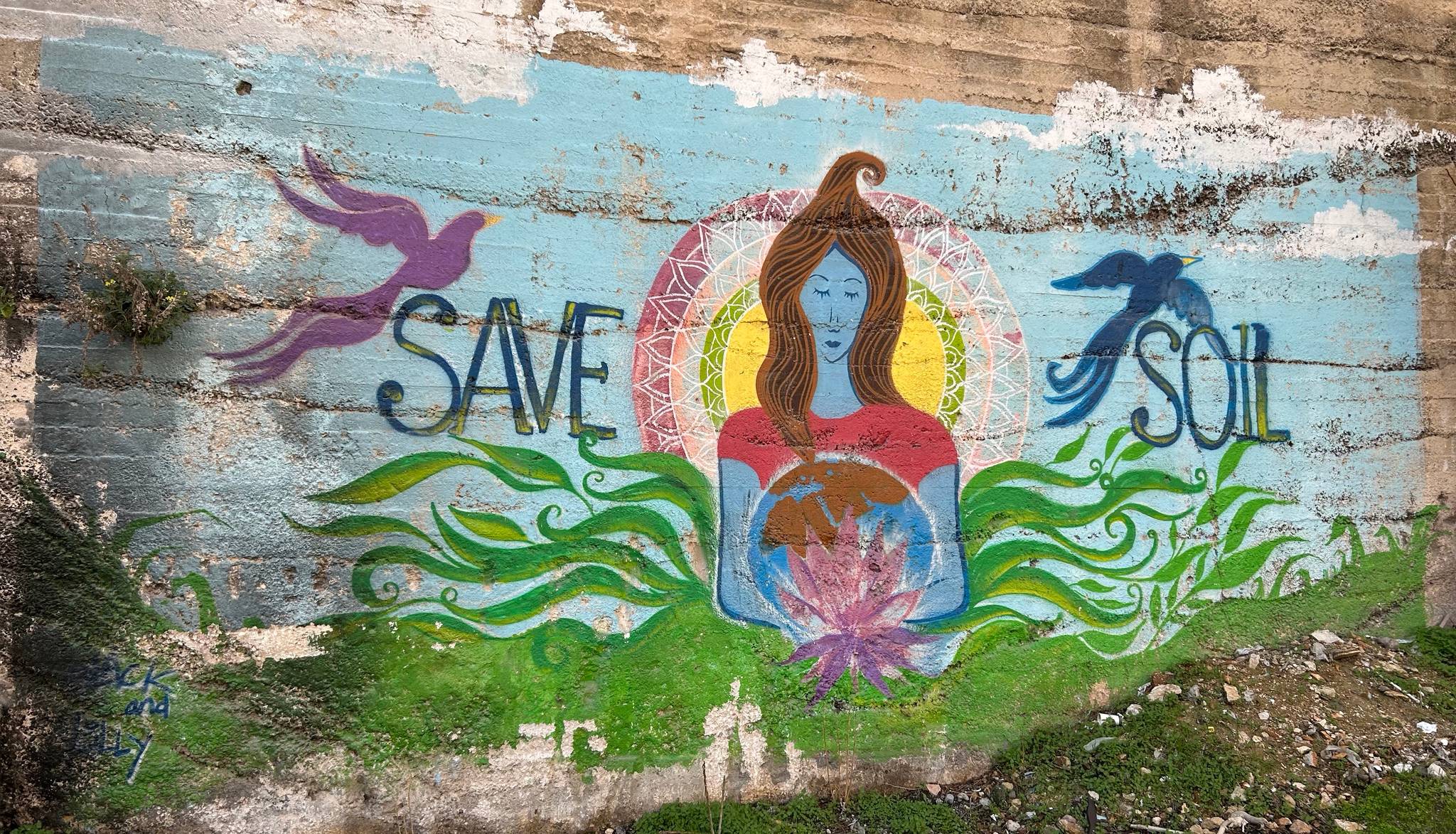 Alia Tabbara&mdash;Gaia