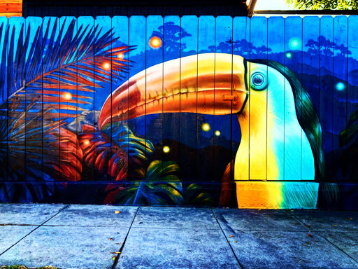 TapShack Toucan