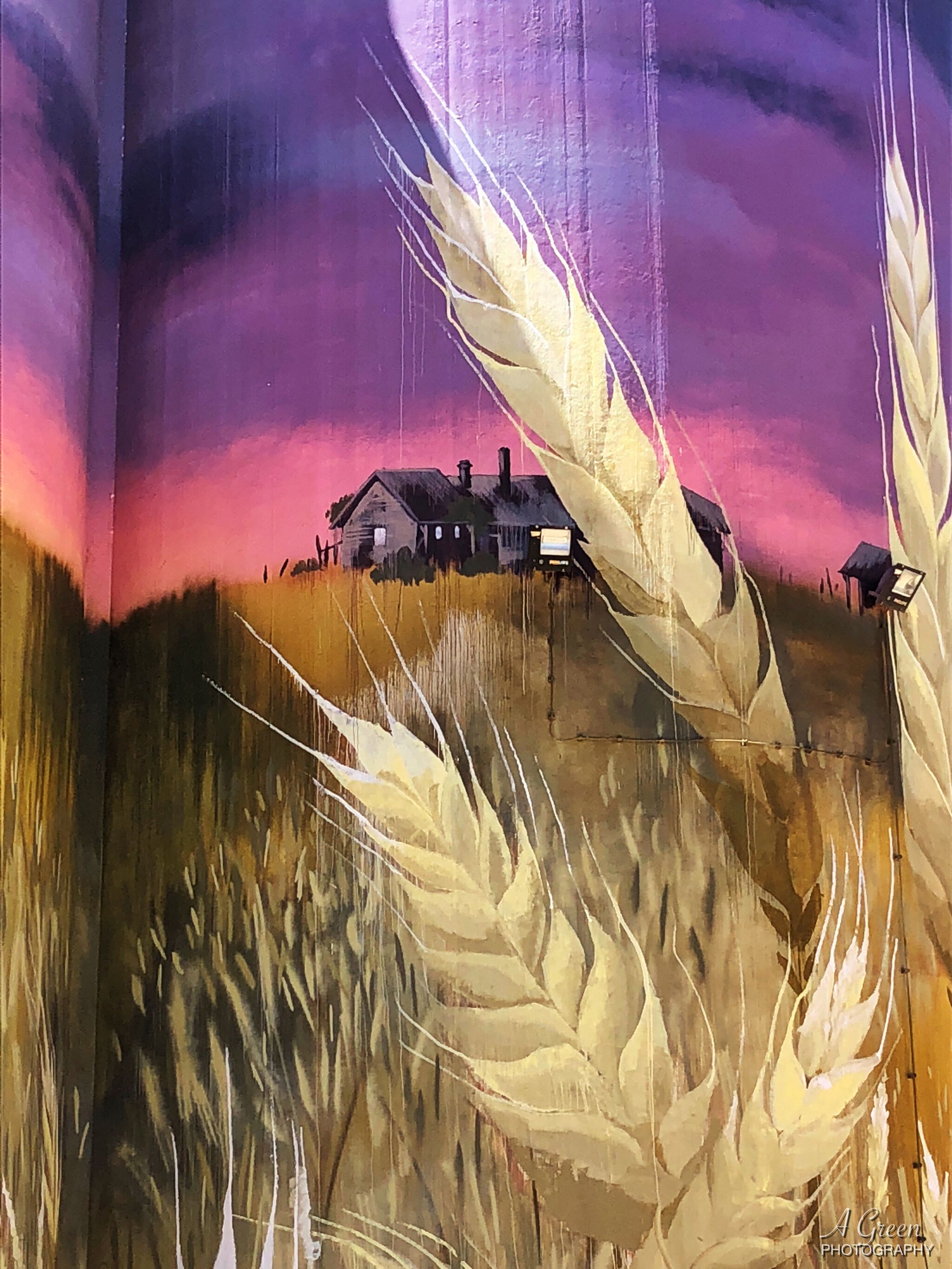 Cam Scale&mdash;Kimba Silo Art