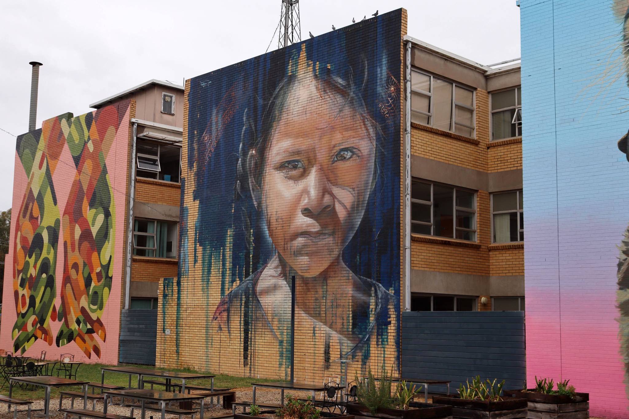 Adnate&mdash;undefined