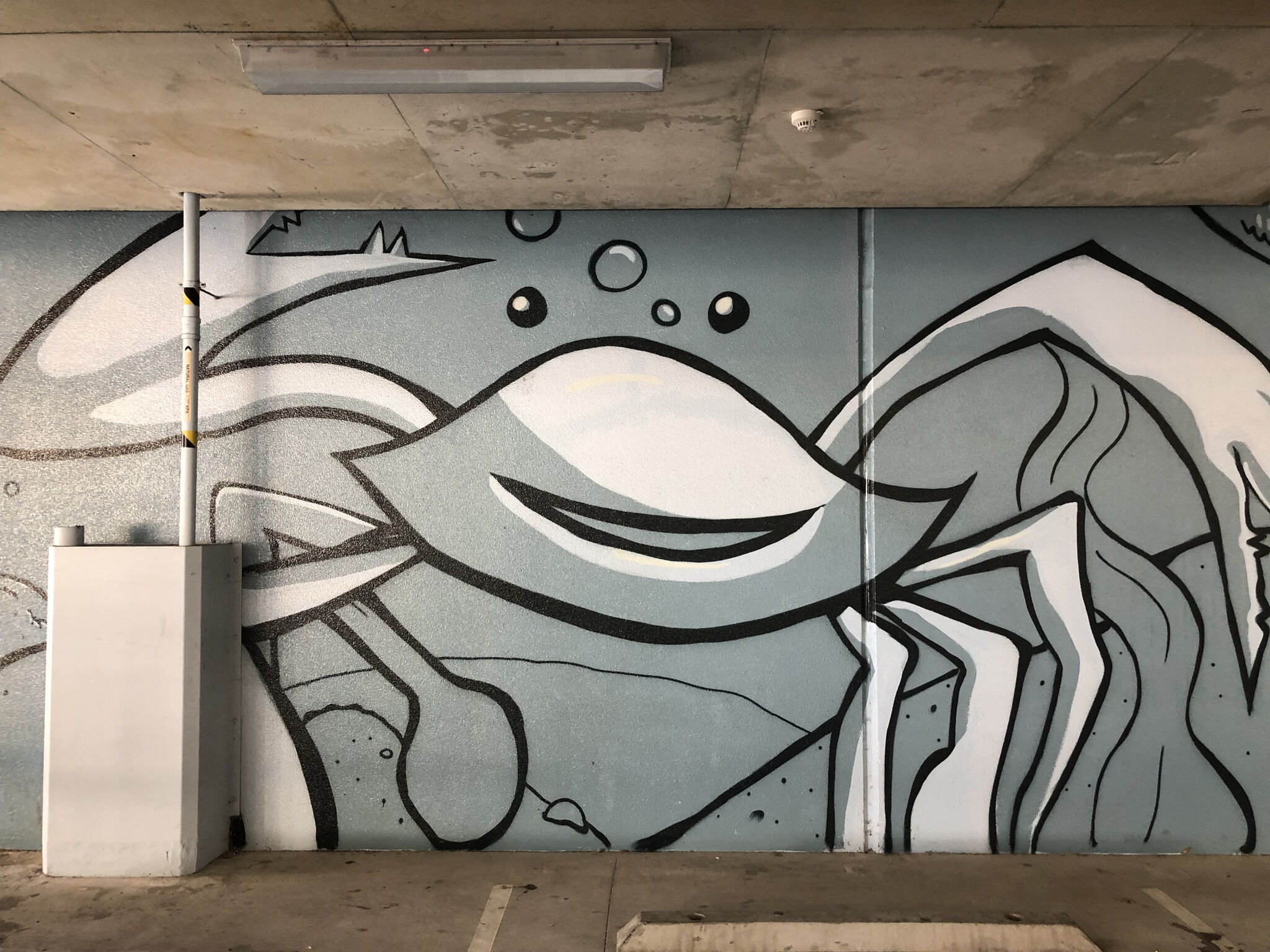 Sam Shields&mdash;Mandurah Forum carpark