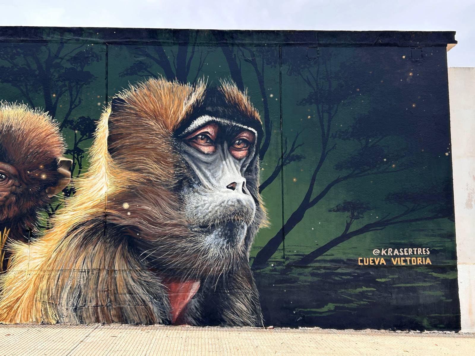 Kraser&mdash;Babuino – Theropithecus II