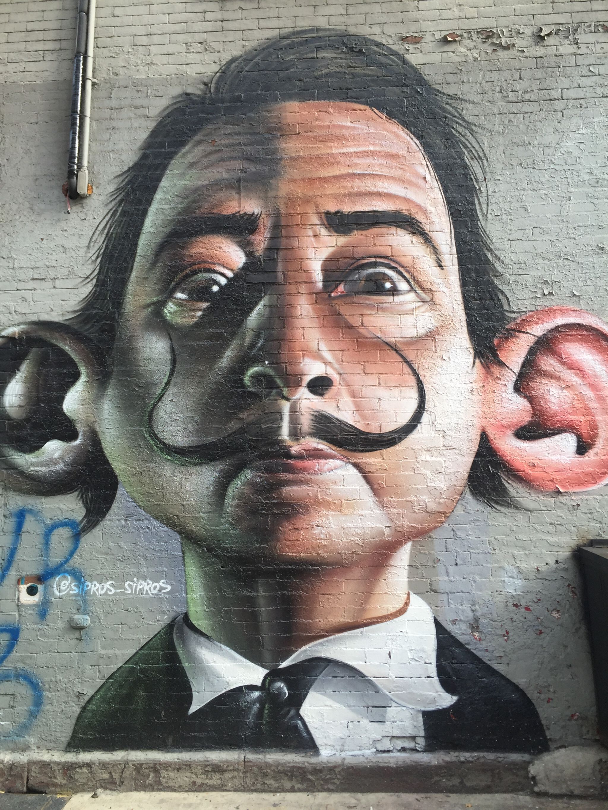 Sipros&mdash;Salvador Dali